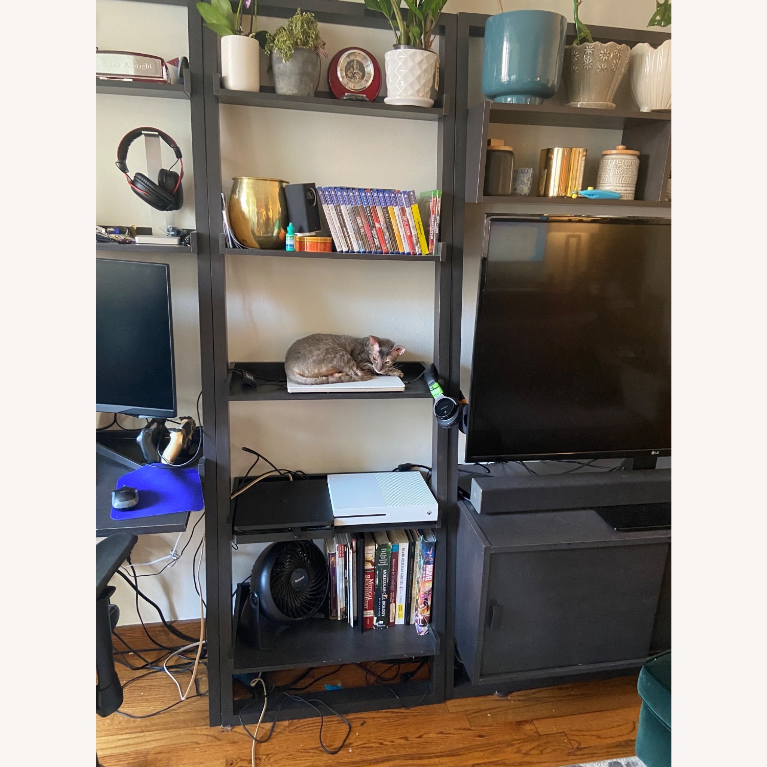 Crate & Barrel Sloane Leaning Bookshelf - image-4