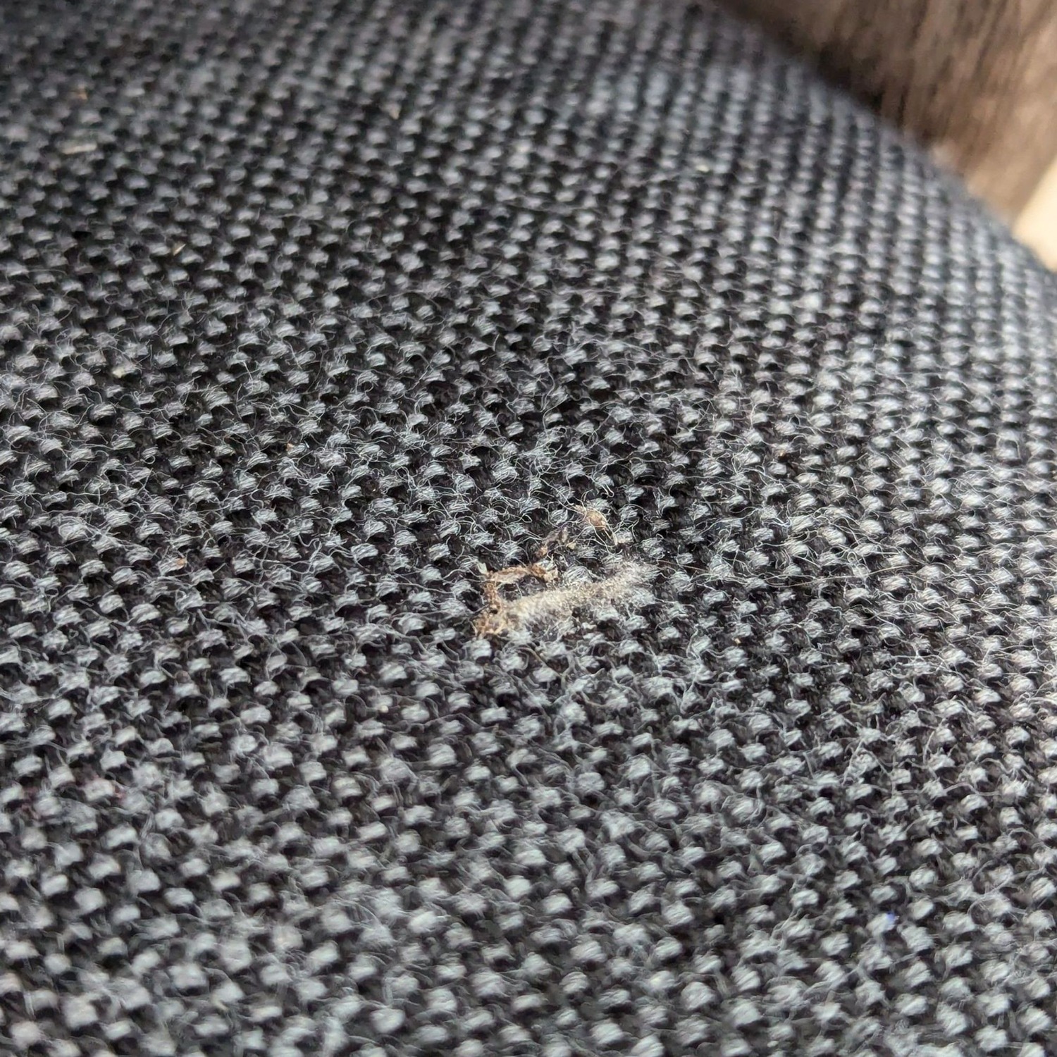 Restoration Hardware Malta Weathered Teak Chair - image-2