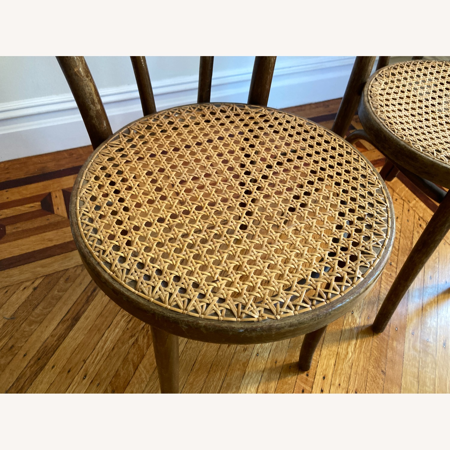 Pair of Early 20th Century Caned Bentwood Chairs - image-9