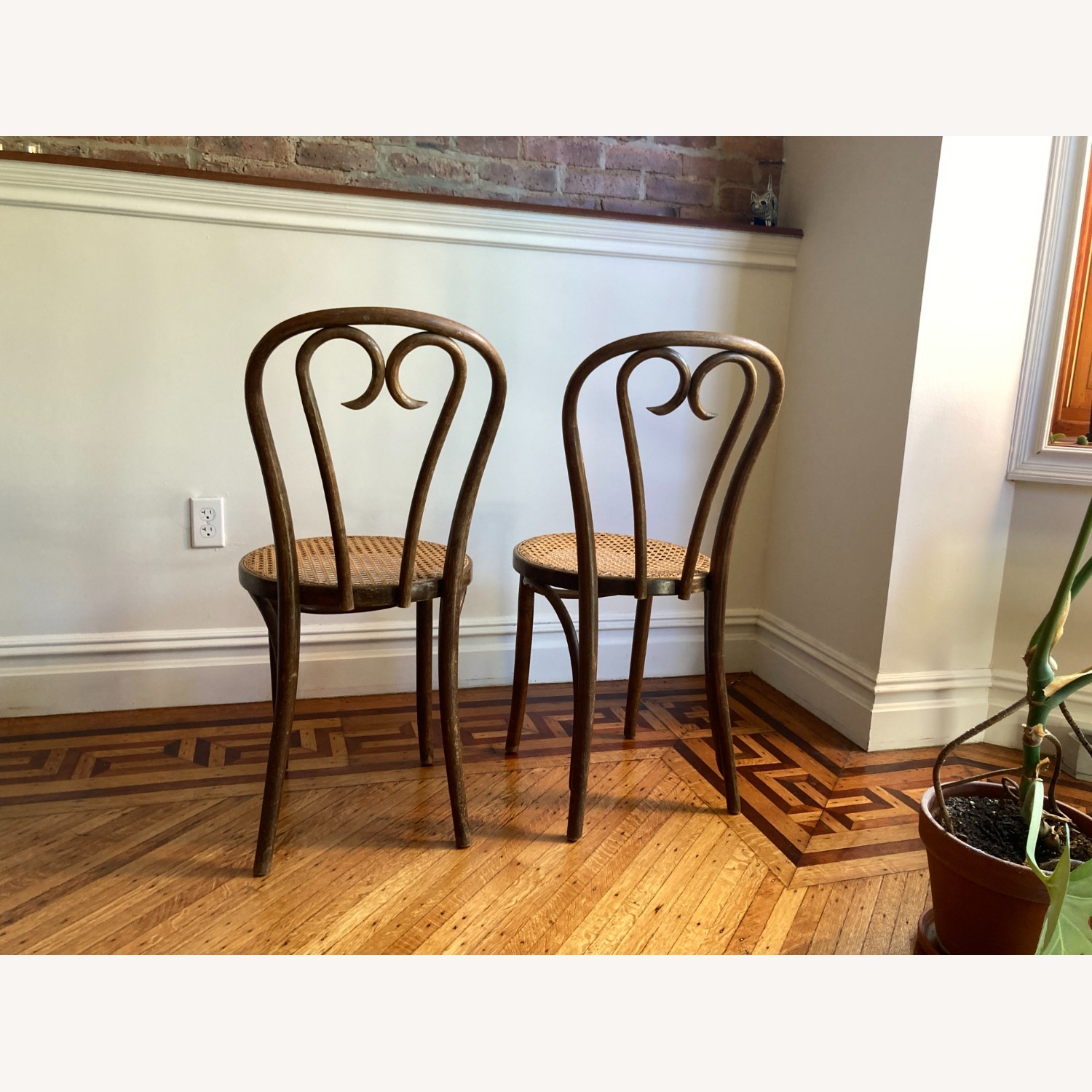 Pair of Early 20th Century Caned Bentwood Chairs - image-4