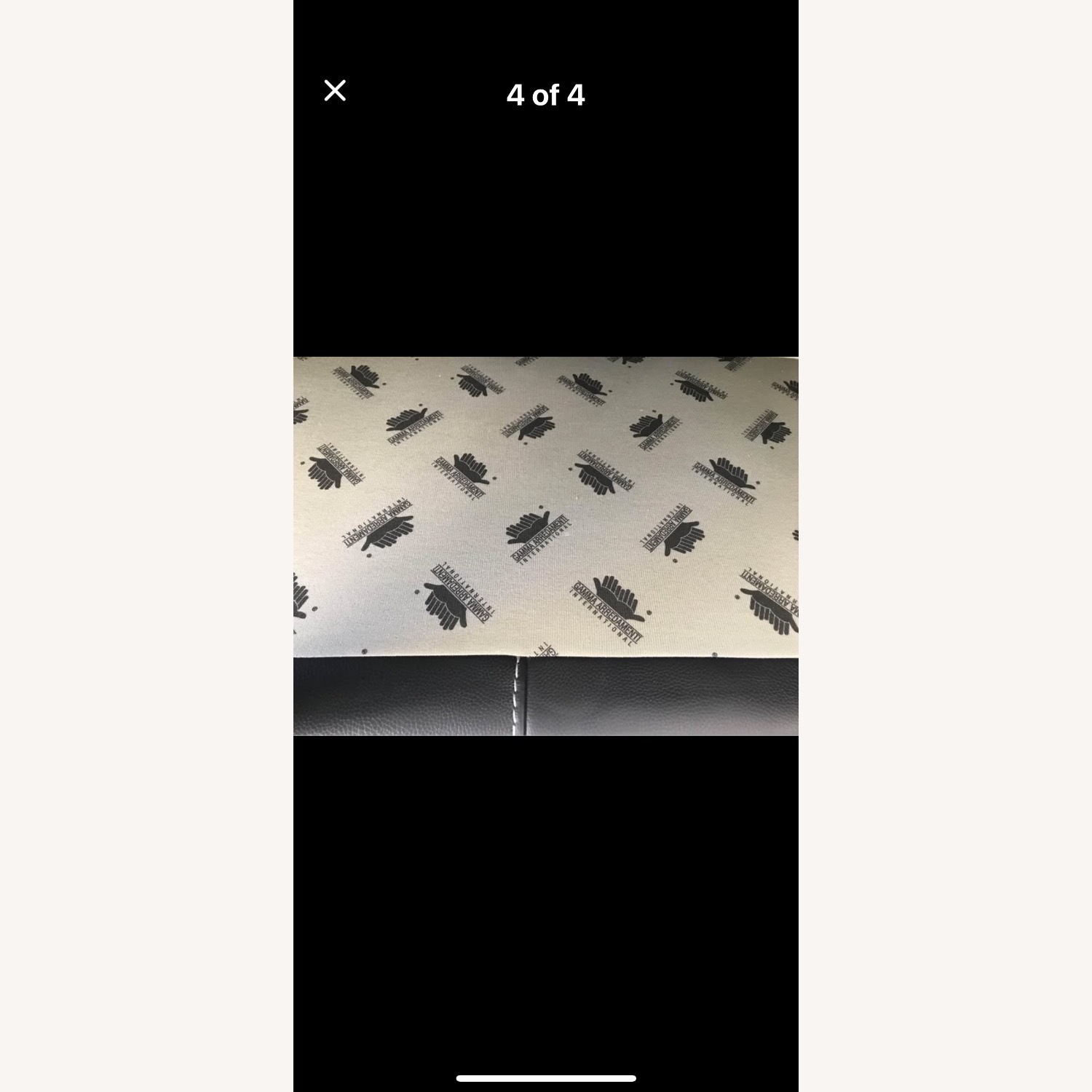 Gamma Arredamenti Leather Chair - image-3