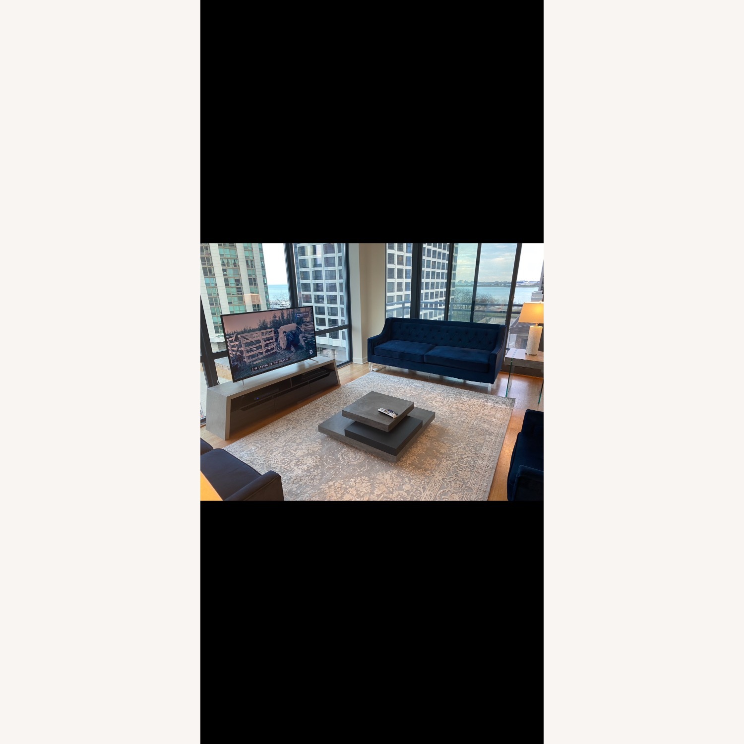 Modern Oriental Rug - image-3