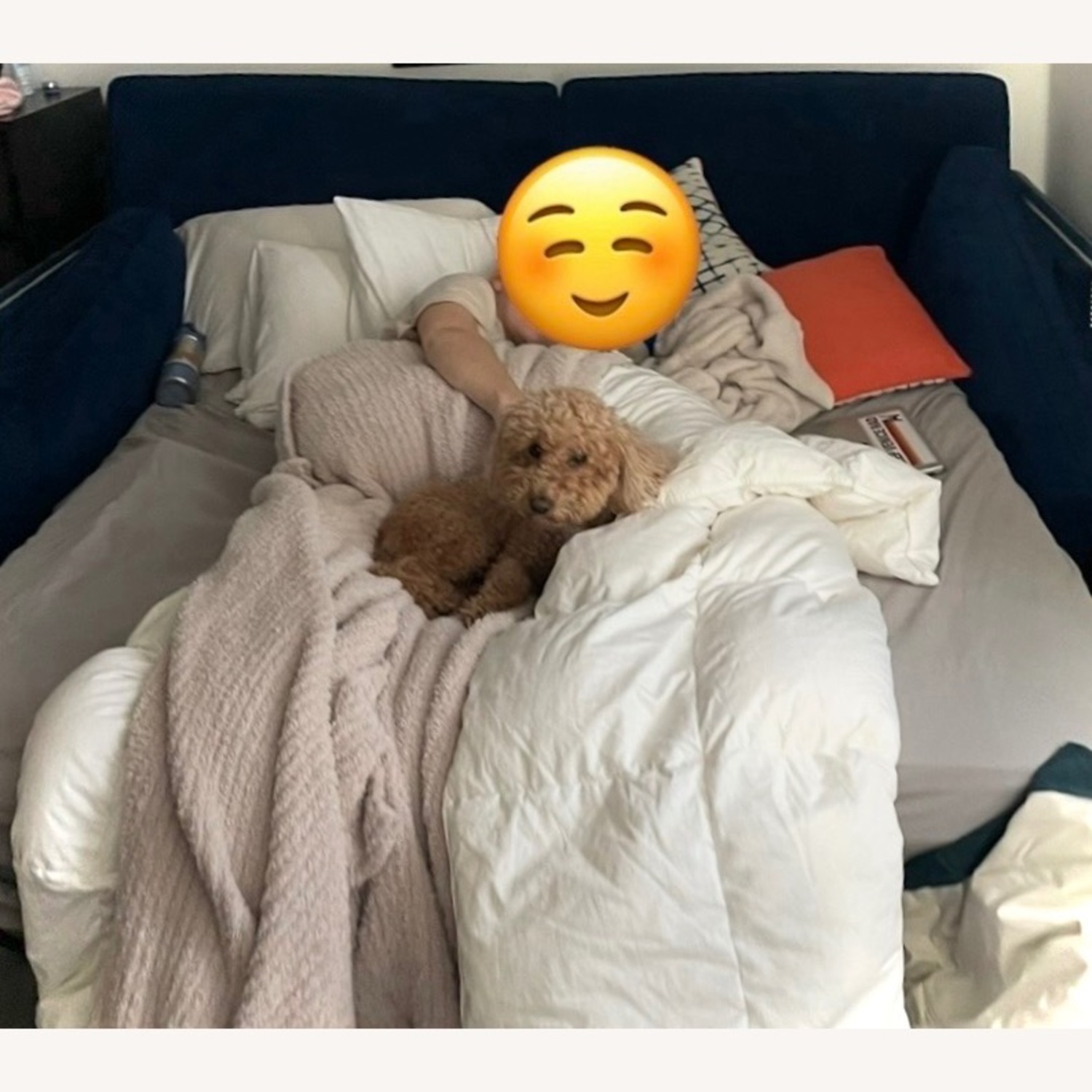 Crate & Barrel Dryden Queen Sleeper Sofa with Nailheads - image-4