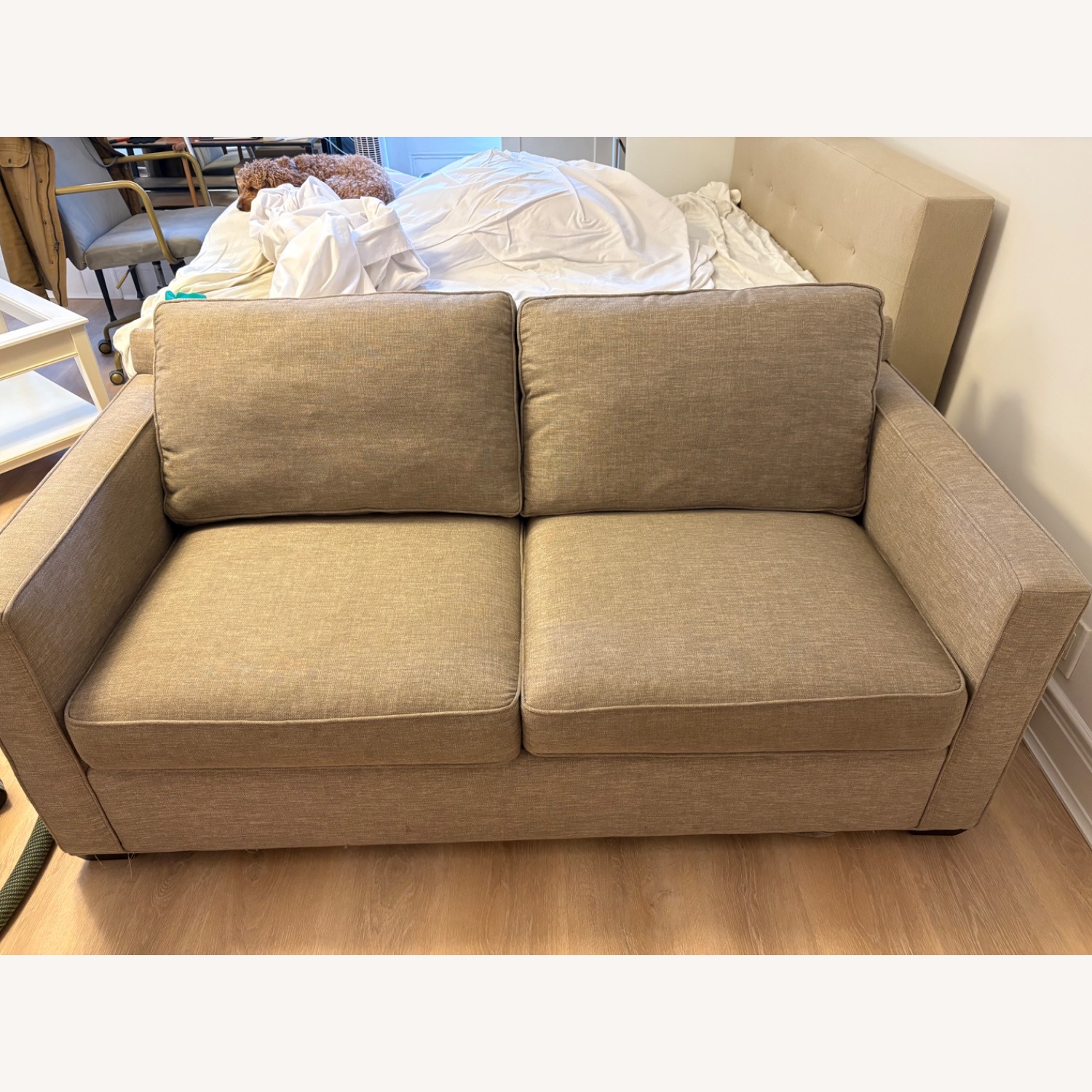 Crate & Barrel Upholstered Convertible Sofa - image-9