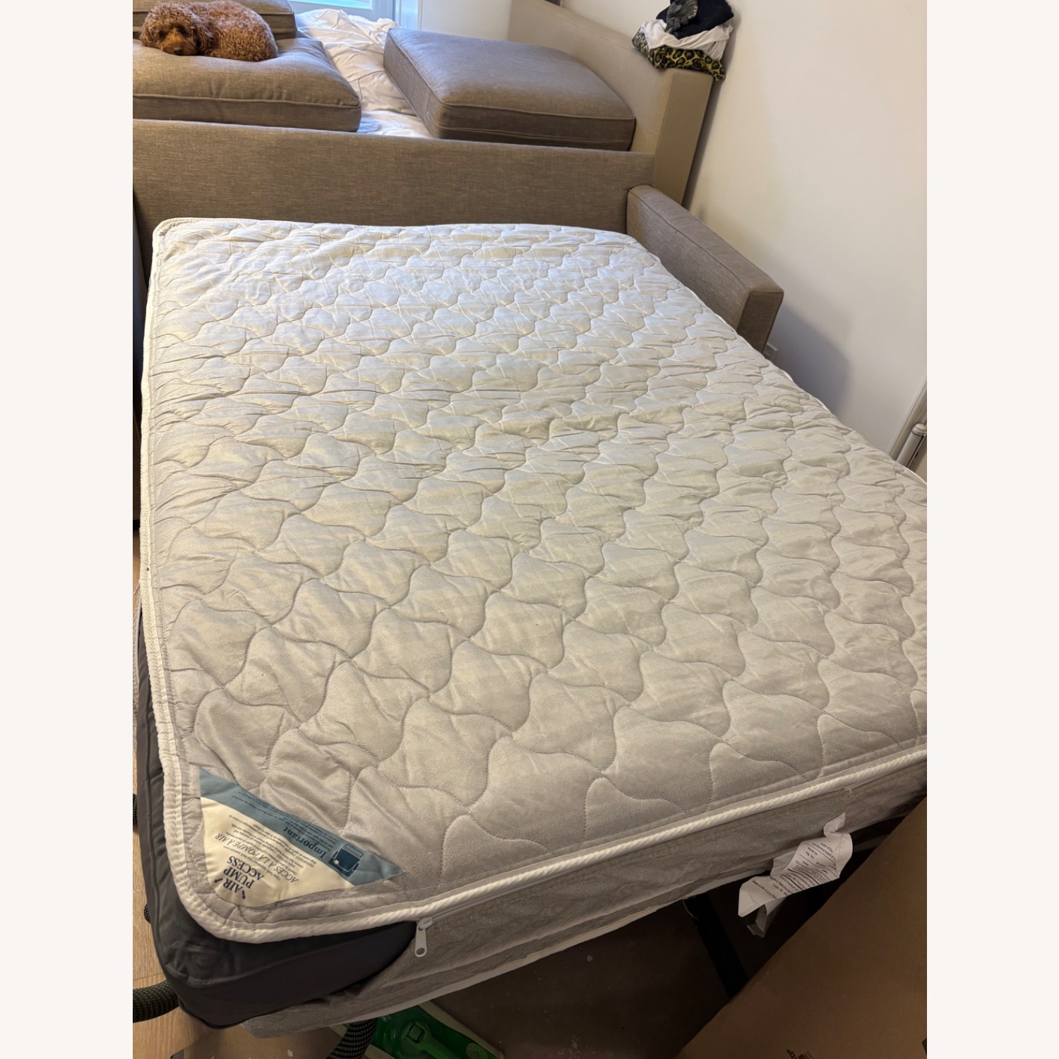 Crate & Barrel Upholstered Convertible Sofa - image-3