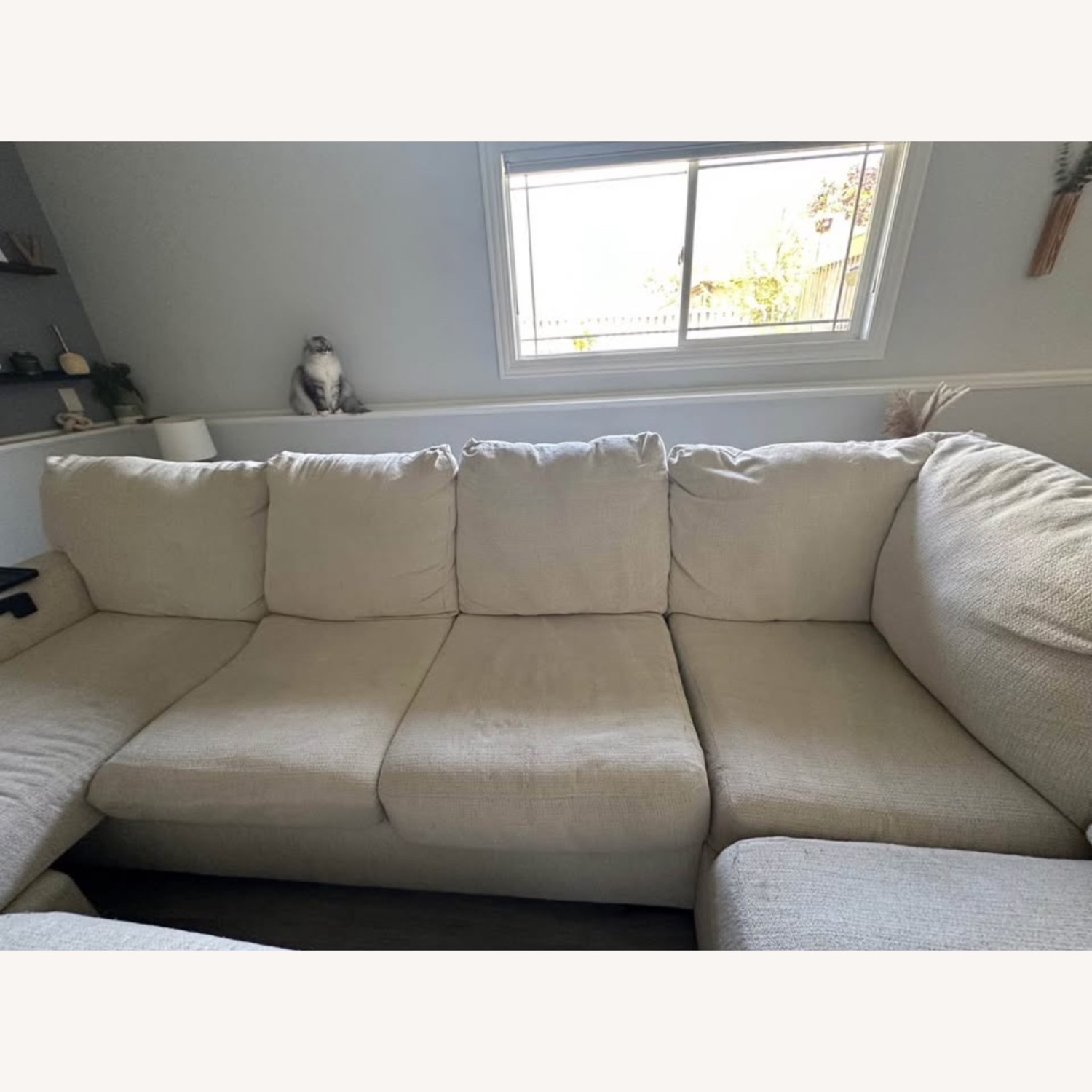 Cambri 2 Piece Sectional with Chaise & Ottoman - image-5