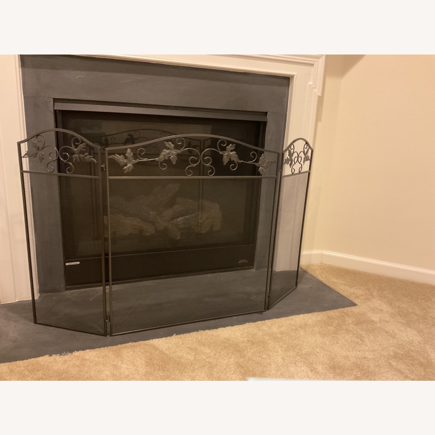 Fireplace Screen - image-4