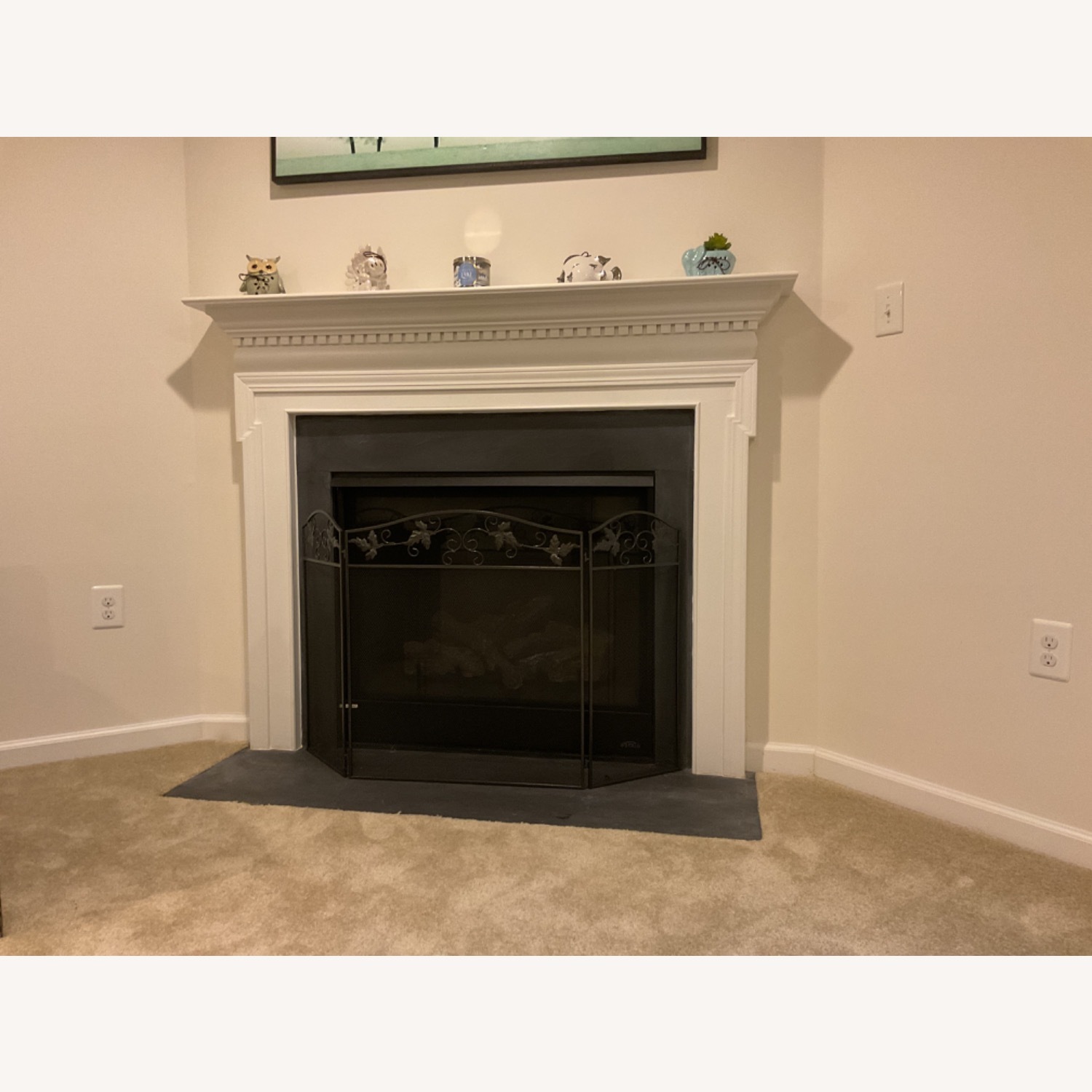 Fireplace Screen - image-1