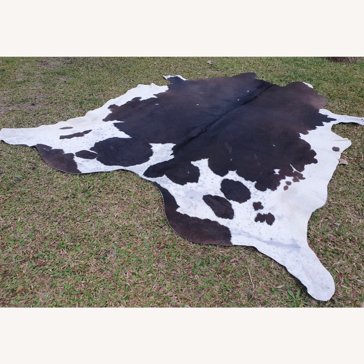 Genuine Cowhide Rug Jumbo Size - image-1
