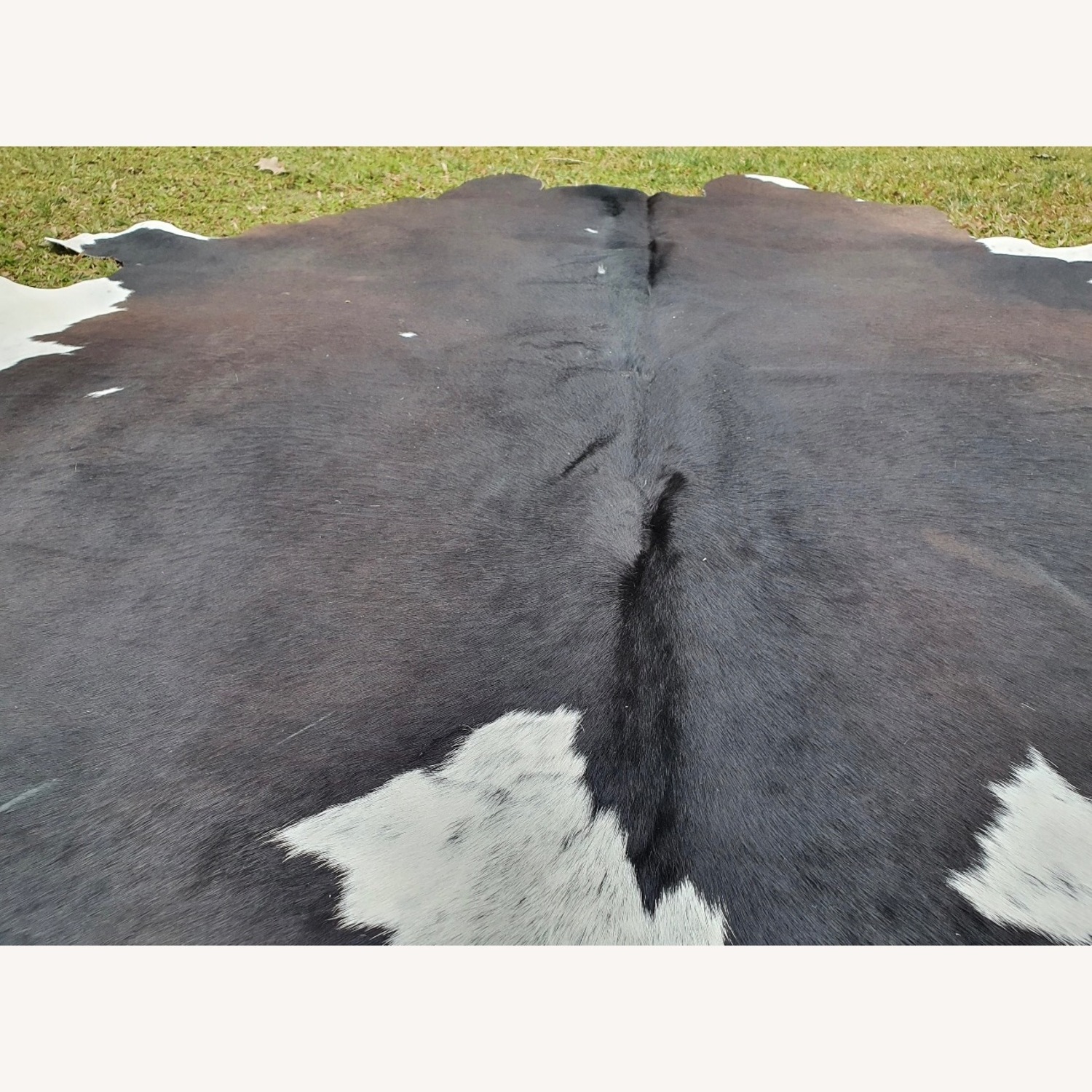 Genuine Cowhide Rug Jumbo Size - image-2