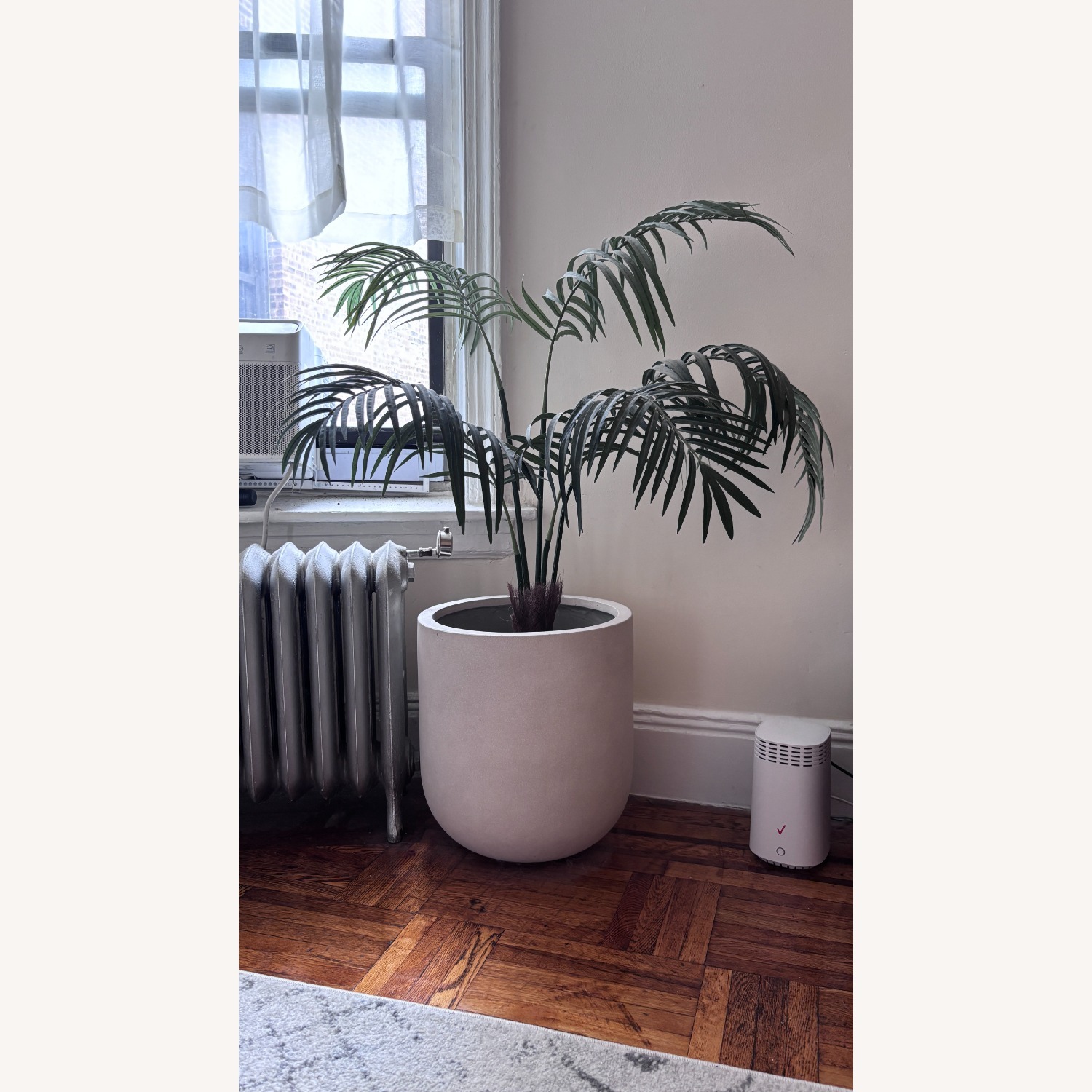 West Elm Radius Planter with Faux Fan Palm Tree - image-0