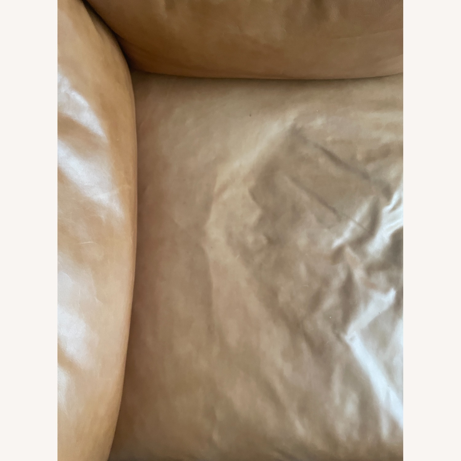 Crate & Barrel Wells Couch - image-5