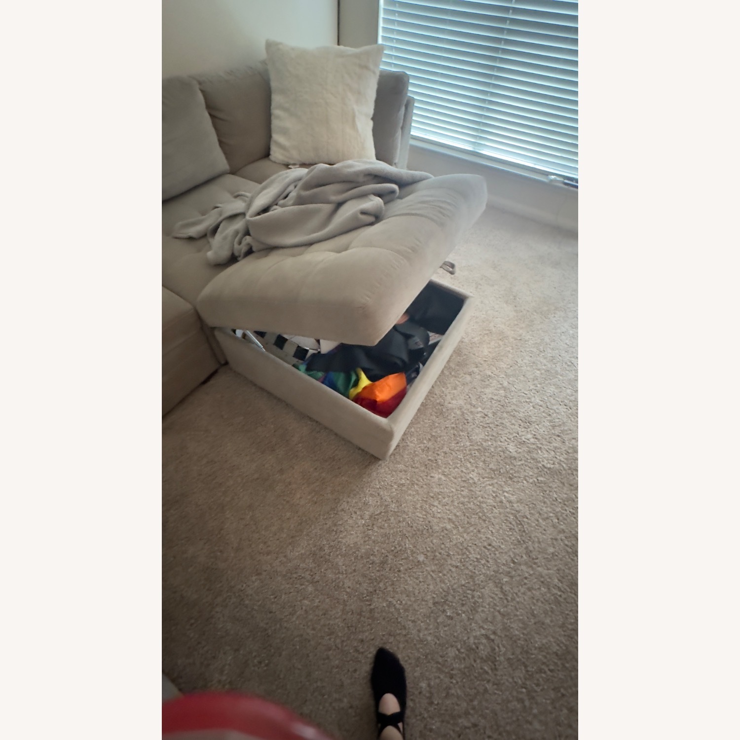 Beige Sectional Sofa - image-4