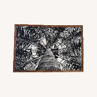 David Ballam Framed Photograph