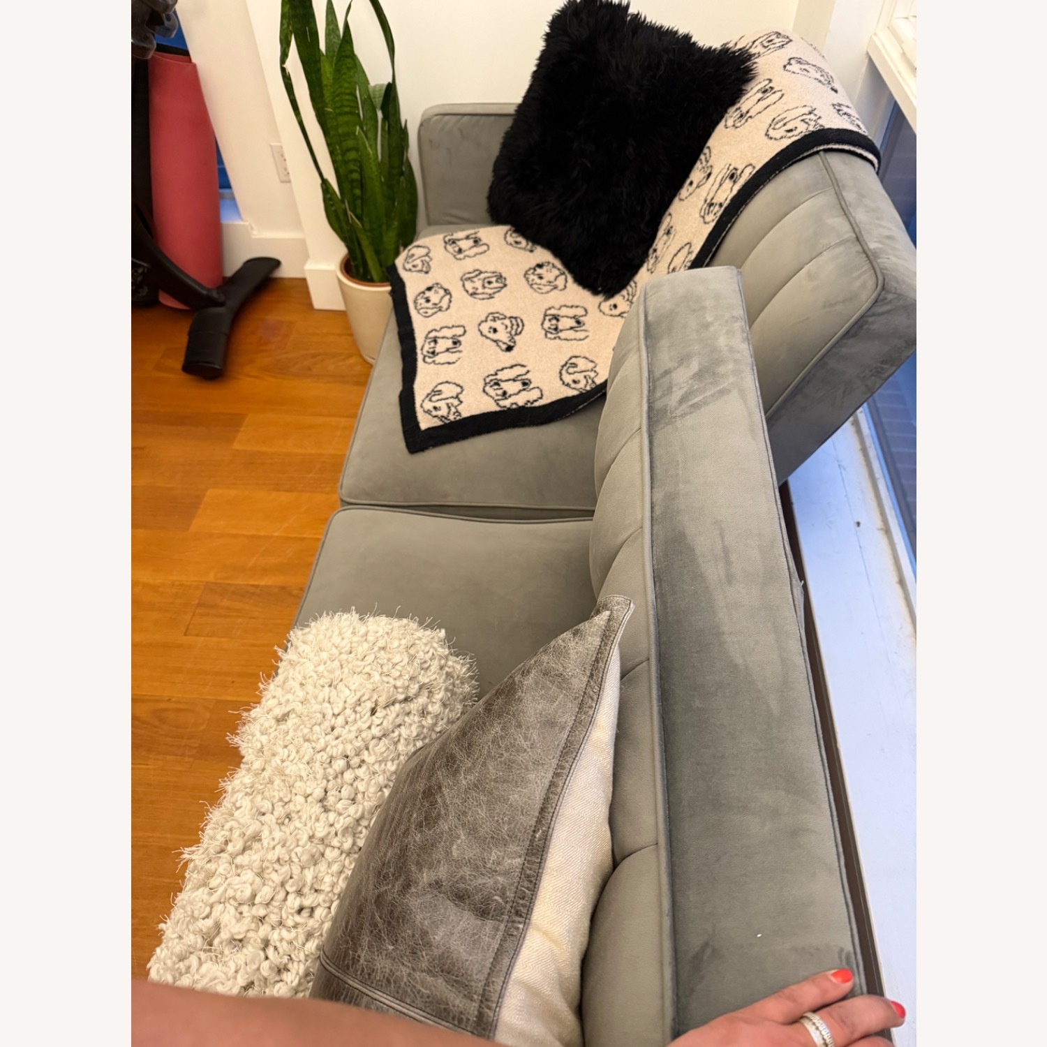 Grey Velvet Sofa Bed - image-3