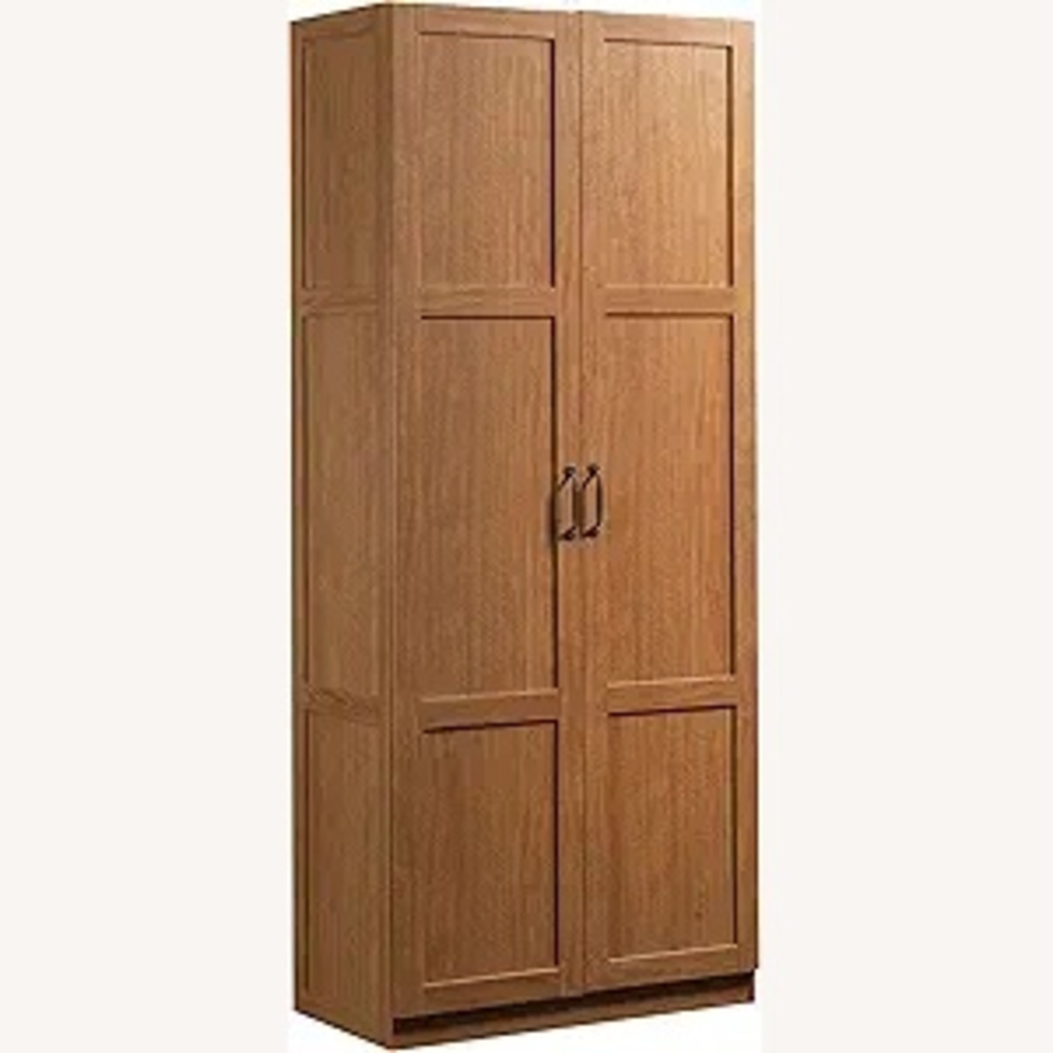 Amazon Sauder Large Wooden Cabinet with Doors - image-4