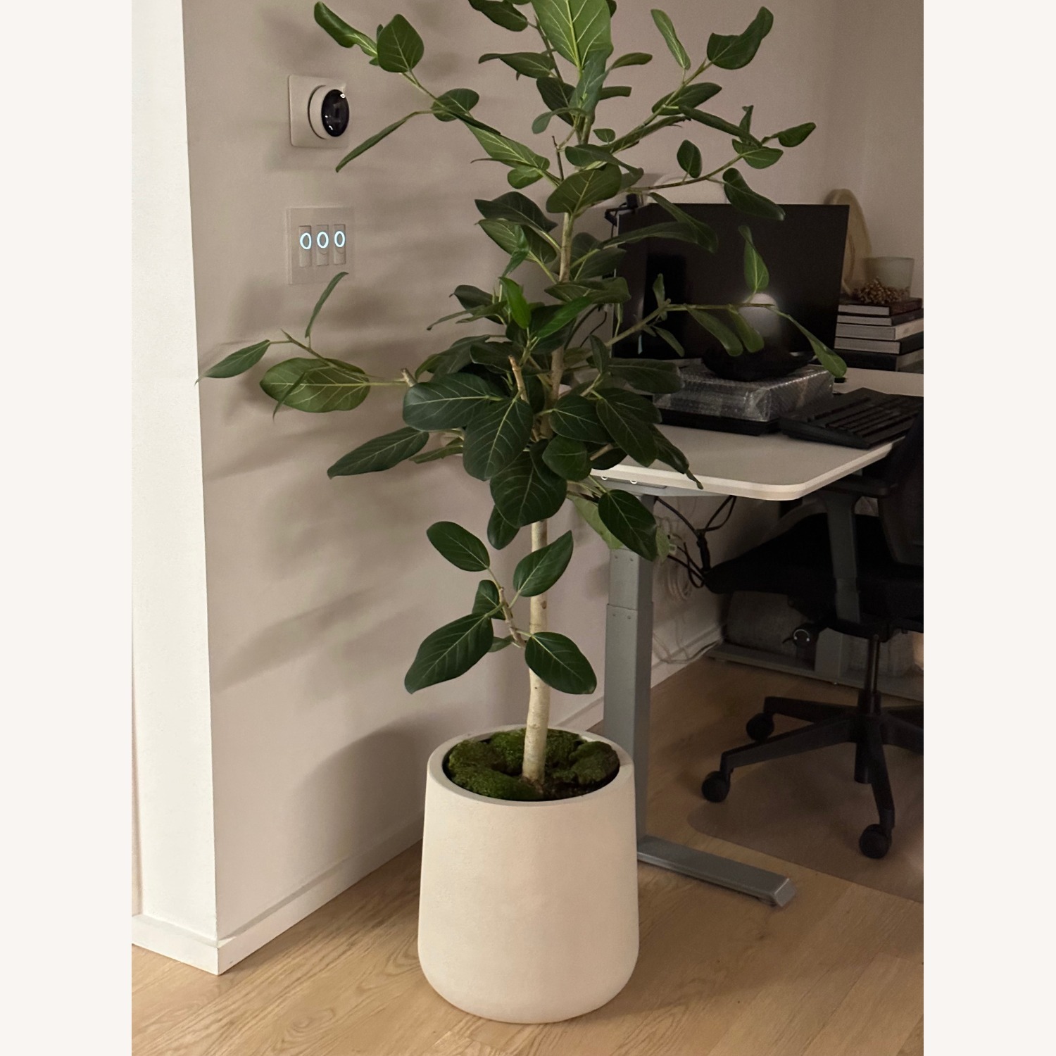 Crate & Barrel Saabira Taupe Planter - image-3