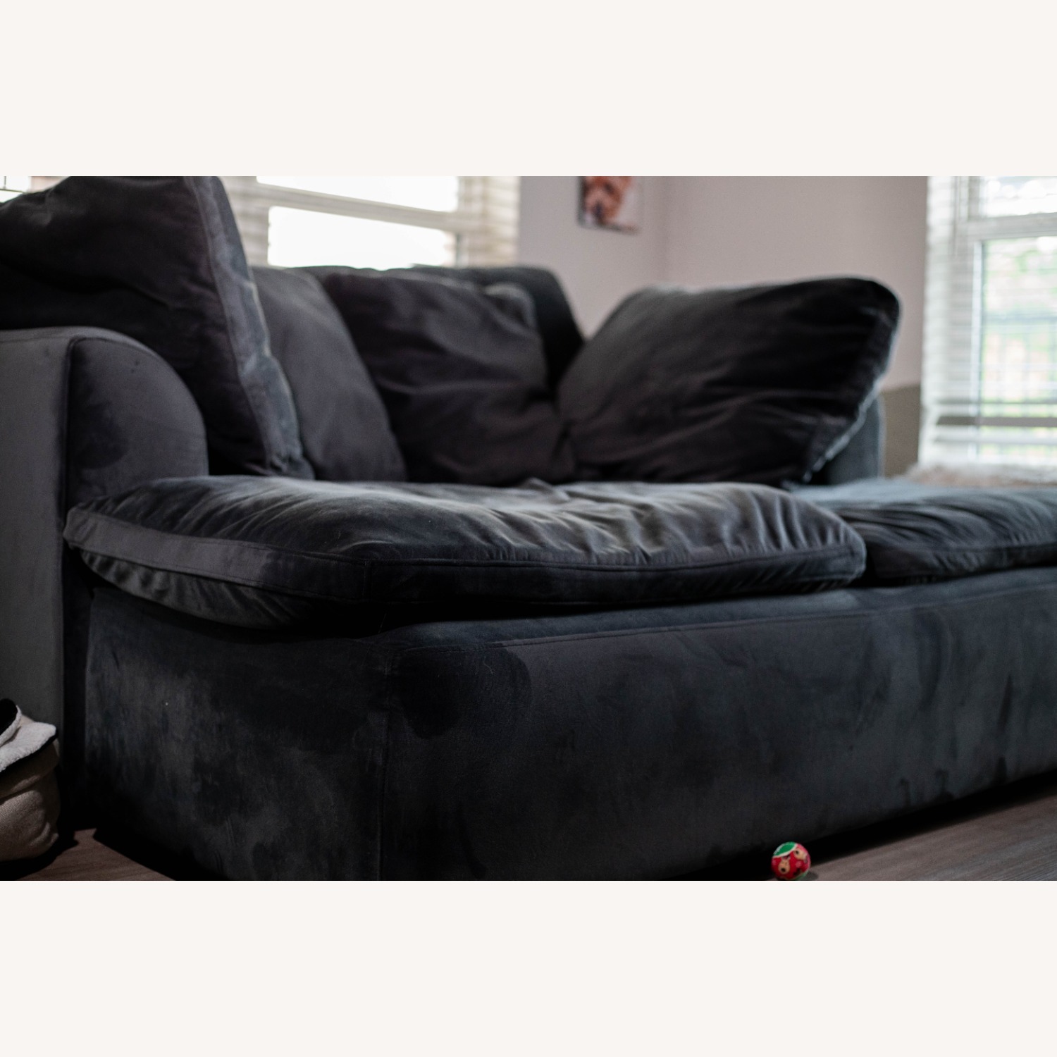 Joybird Bryant Daybed in Black - image-3