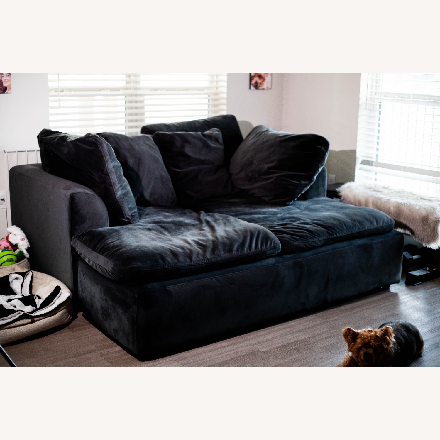 Joybird Bryant Daybed in Black - image-2