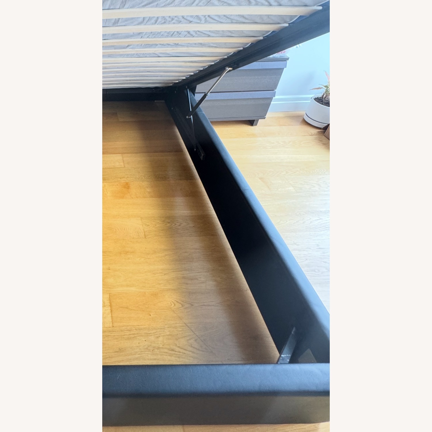 Modani Casa Storage Queen Bed - Hydraulic Lift - image-4