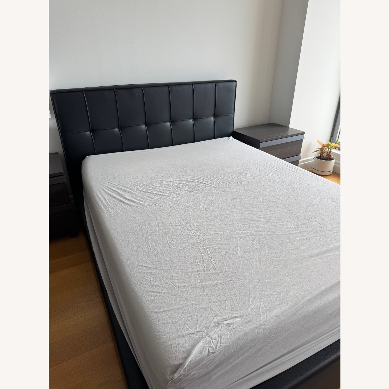 Modani Casa Storage Queen Bed - Hydraulic Lift - image-3