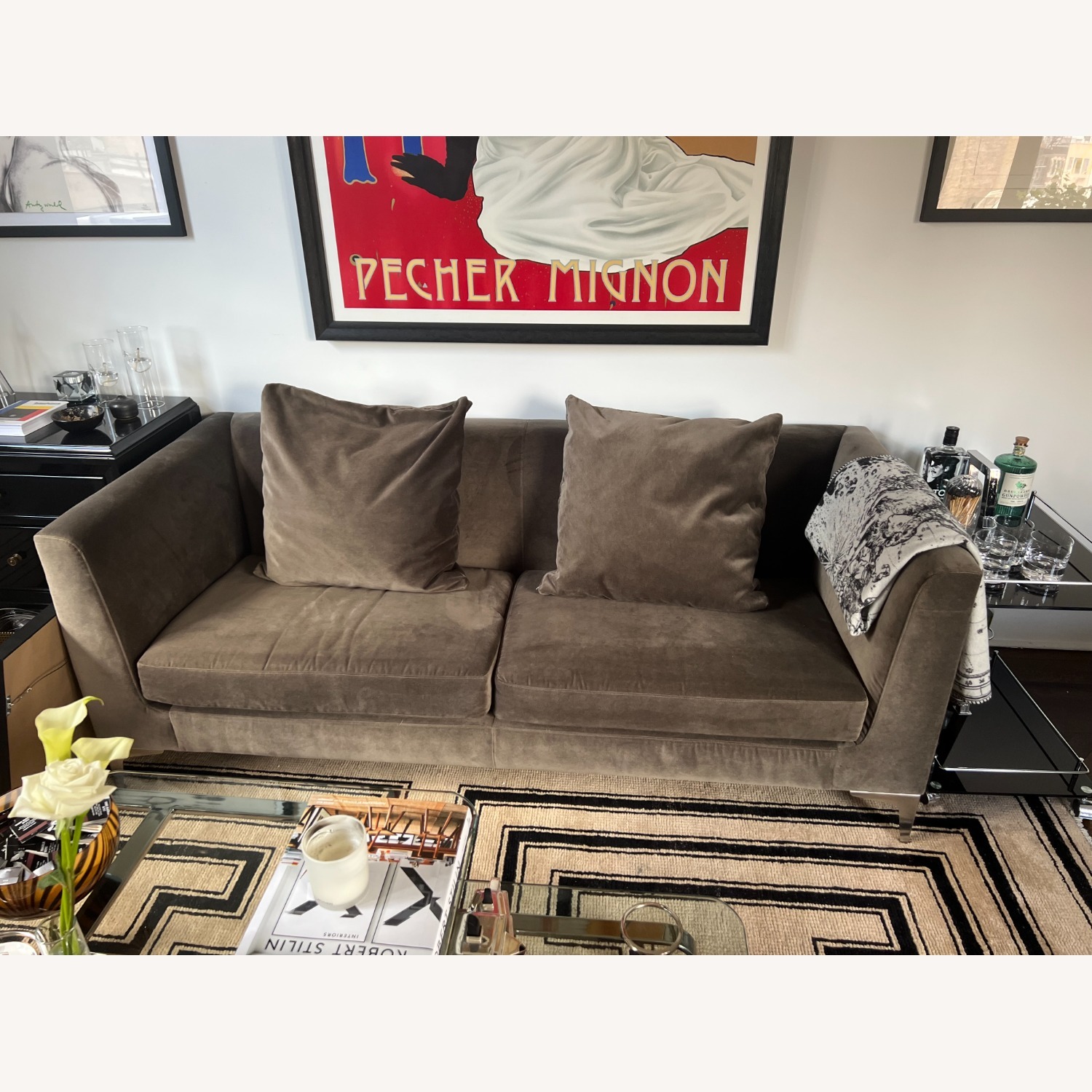 Sterling 76" Sofa in "Mink" Velvet - image-4