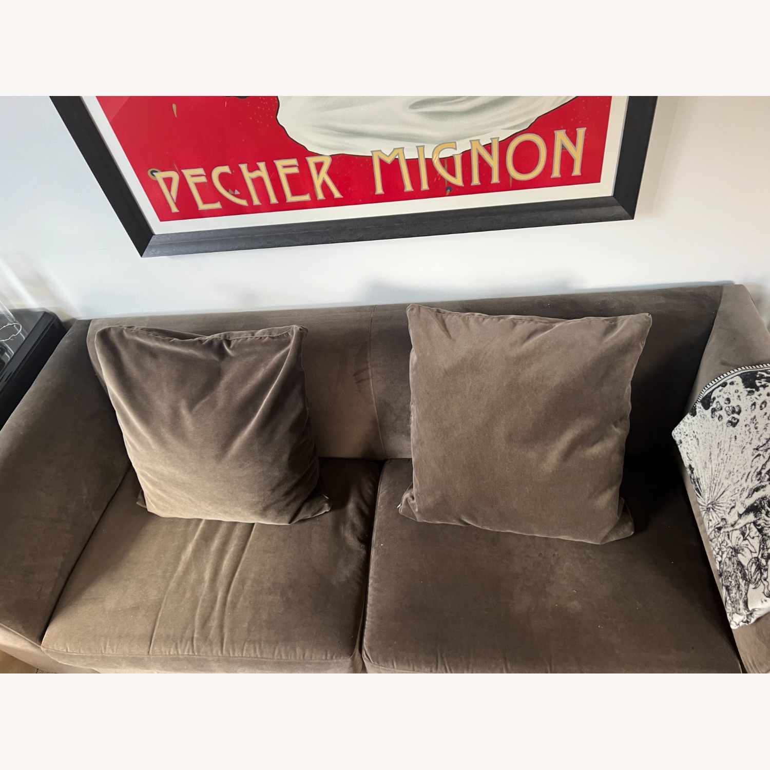 Sterling 76" Sofa in "Mink" Velvet - image-2