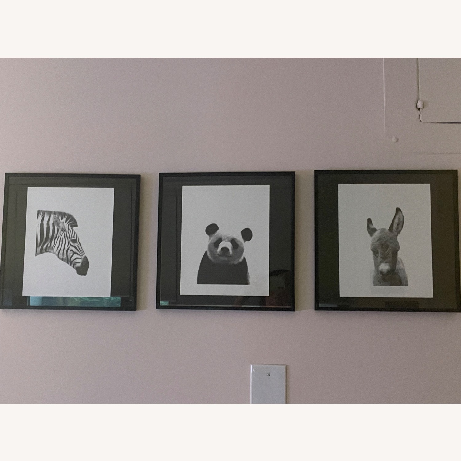 Set of Frames Prints - image-4
