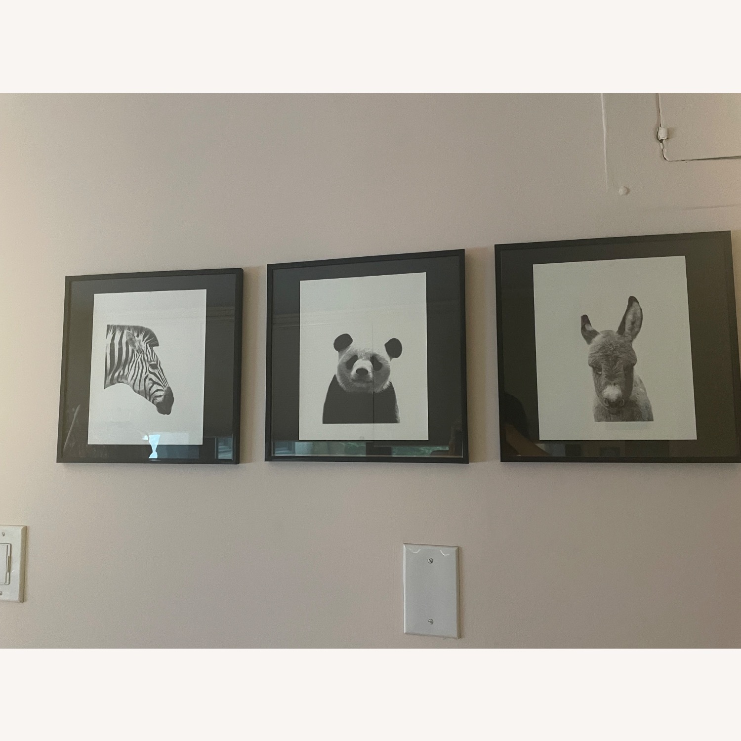 Set of Frames Prints - image-2