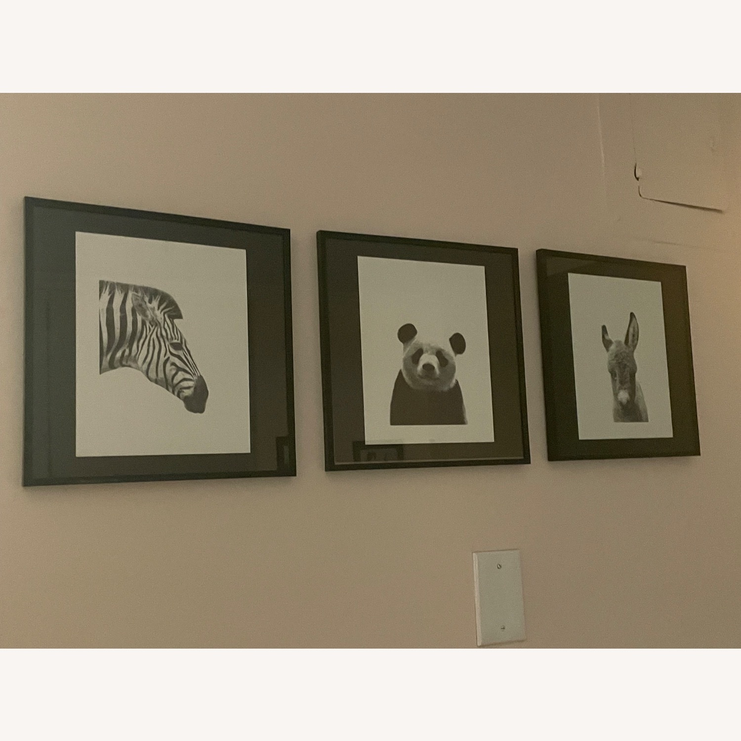 Set of Frames Prints - image-3
