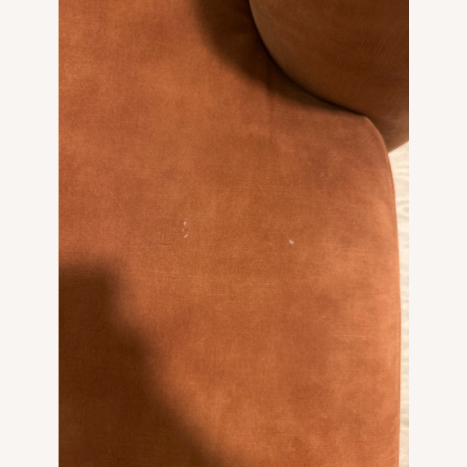 Curved 2-Piece Velvet Chaise Sectional  - image-4