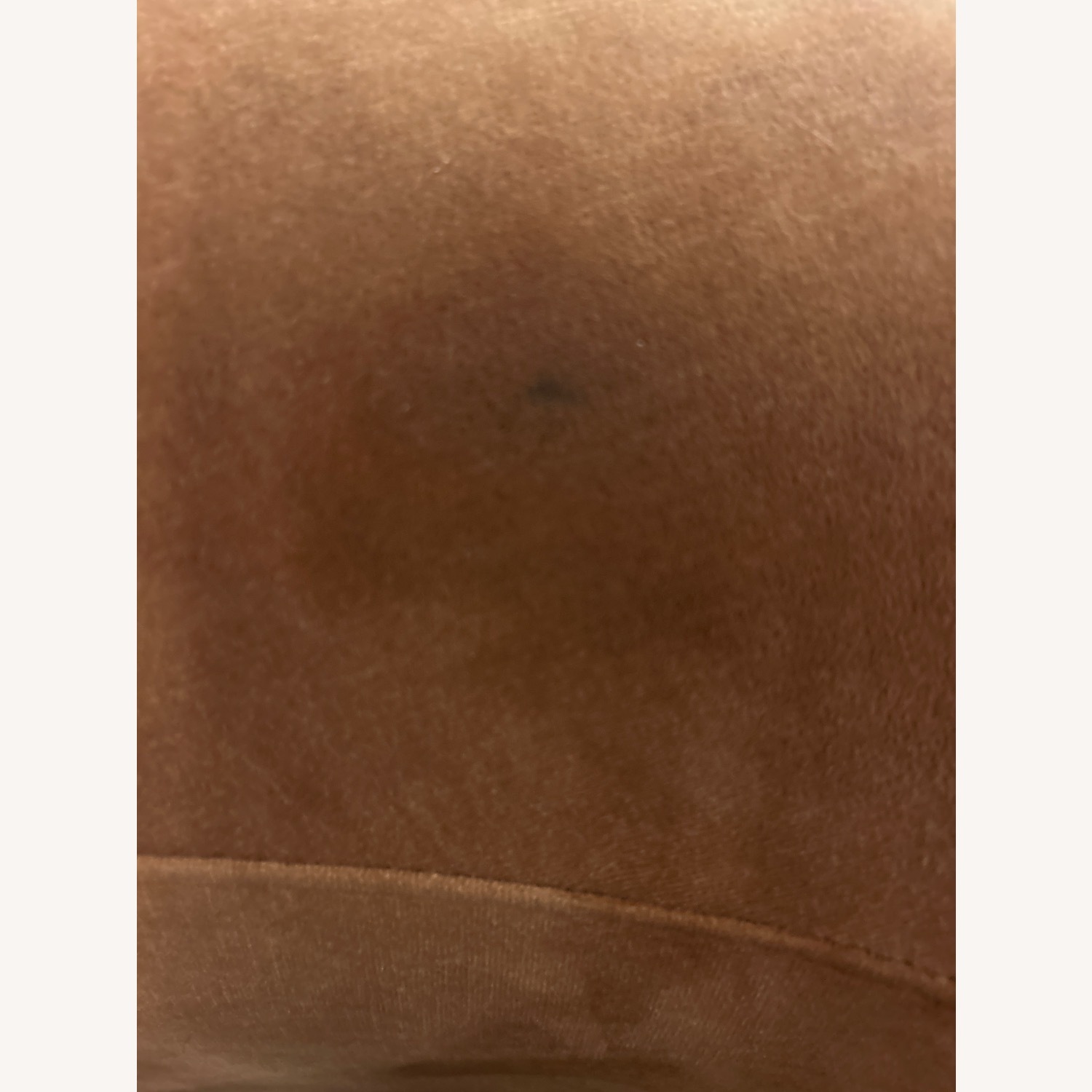 Curved 2-Piece Velvet Chaise Sectional  - image-5