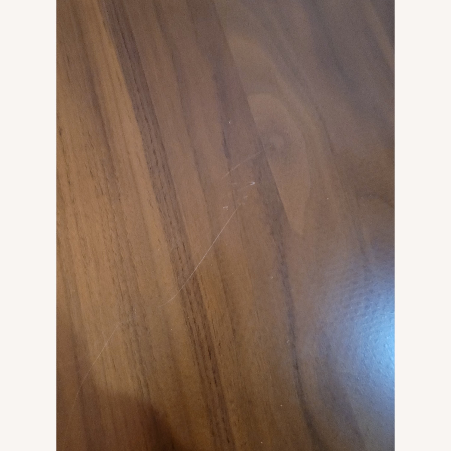 West Elm Mid-Century Dining Set - image-5