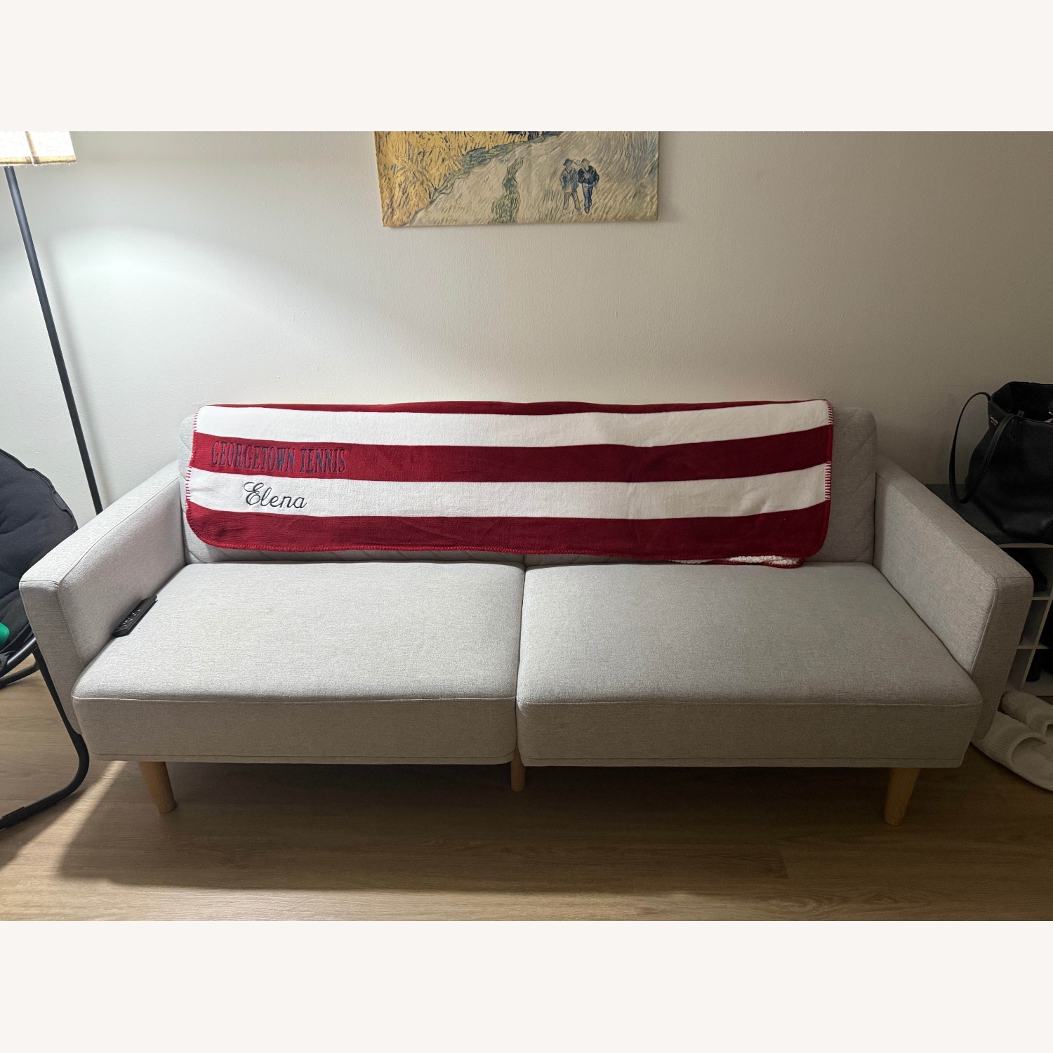 Light Gray Fulton Sofa - image-1