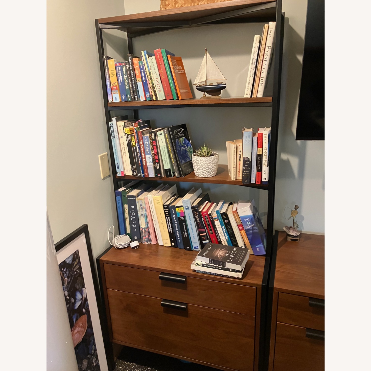 Rejuvenation Burton Book Shelves - image-4