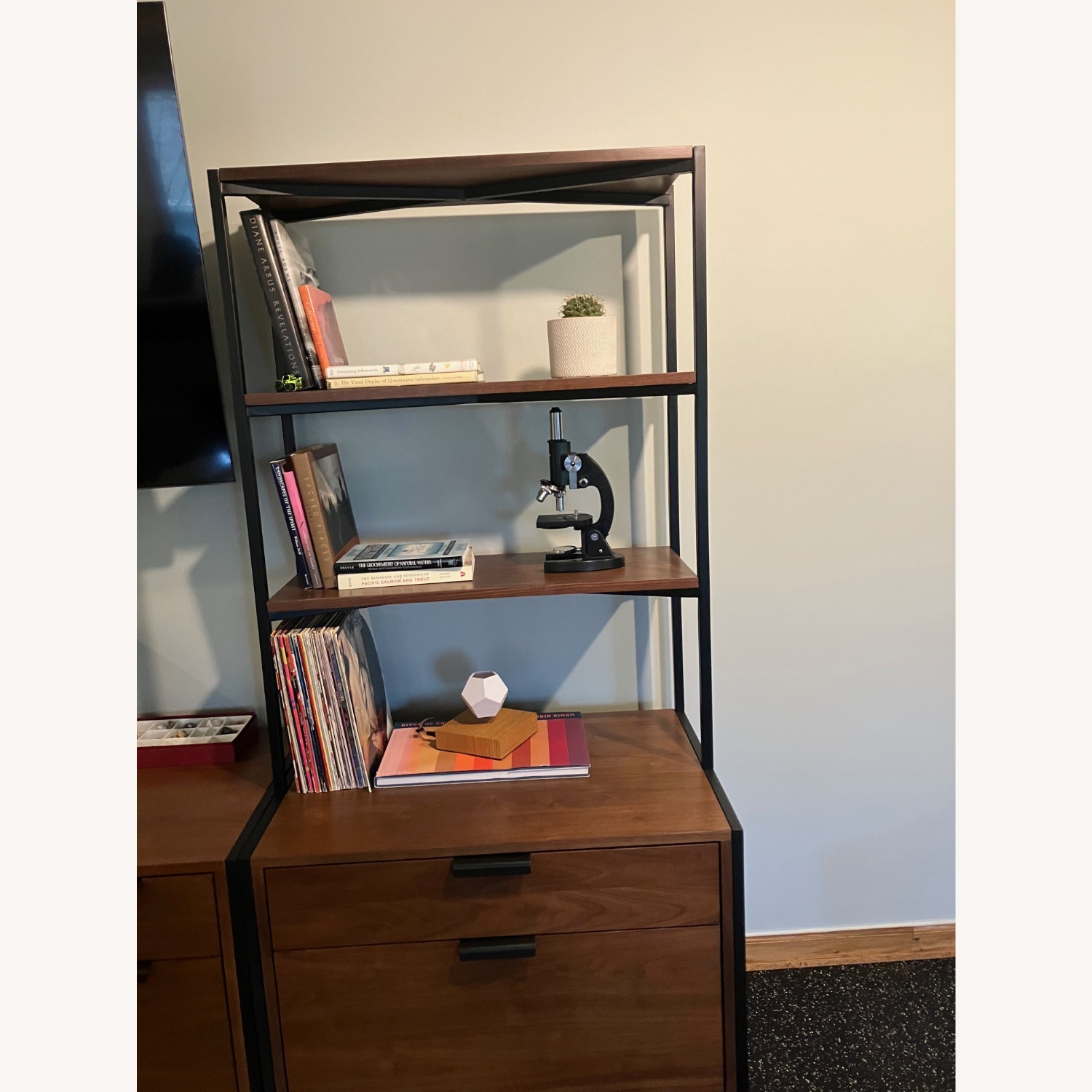 Rejuvenation Burton Book Shelves - image-3