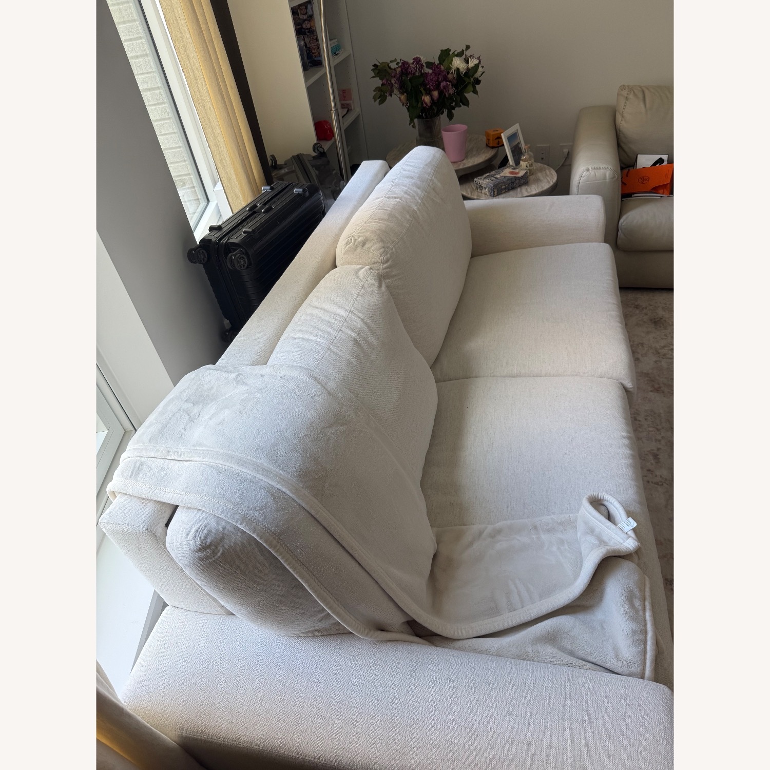 Safavieh Olson Sofa Bed (Queen Size) - image-2