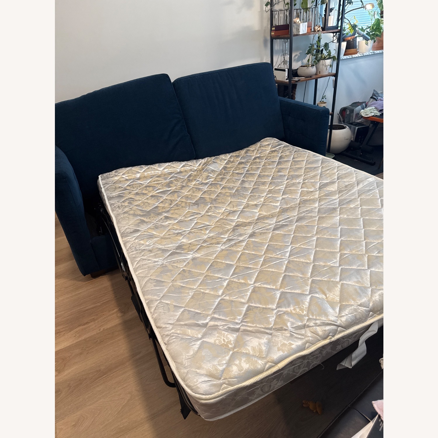 West Elm  Rochester Sleeper  Sofa - image-5