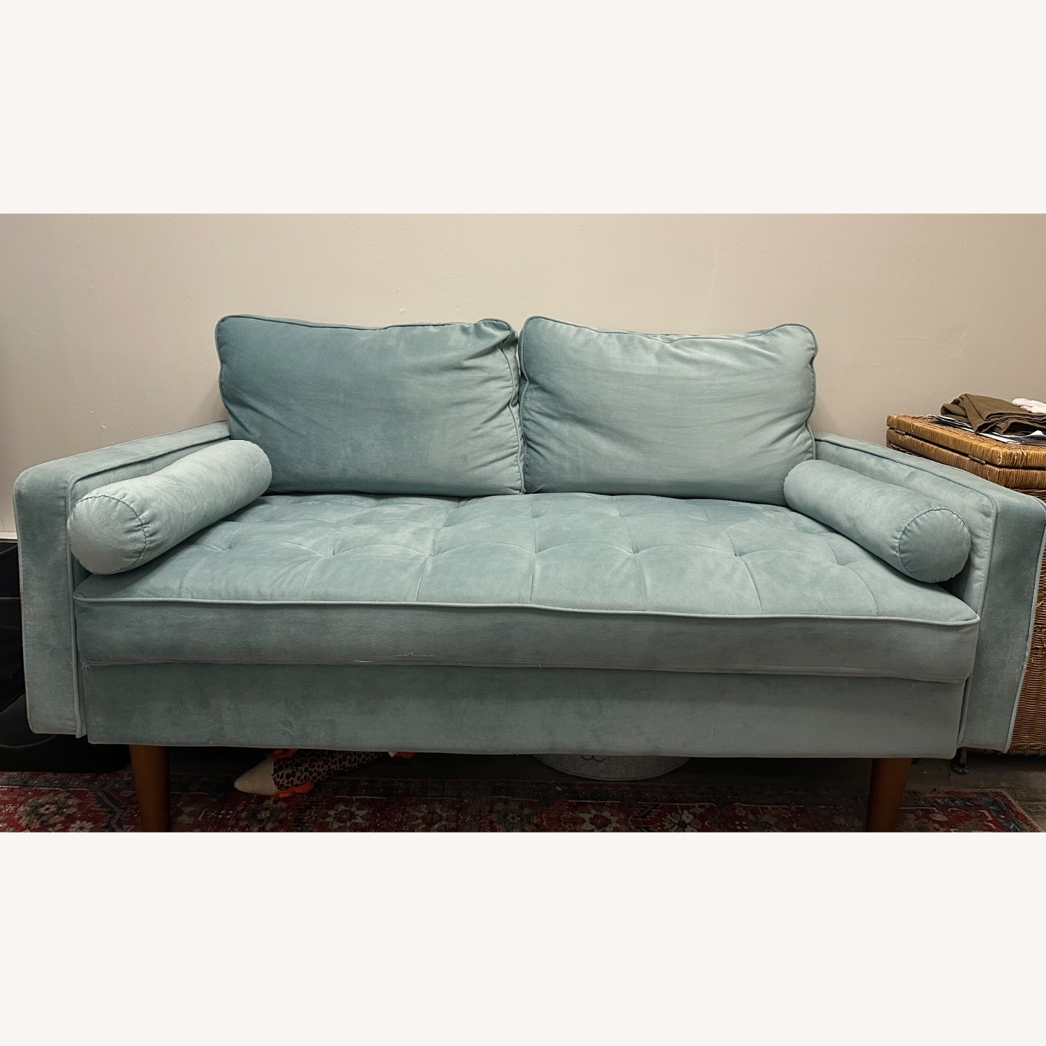 Amazon Velvet Loveseat - image-1