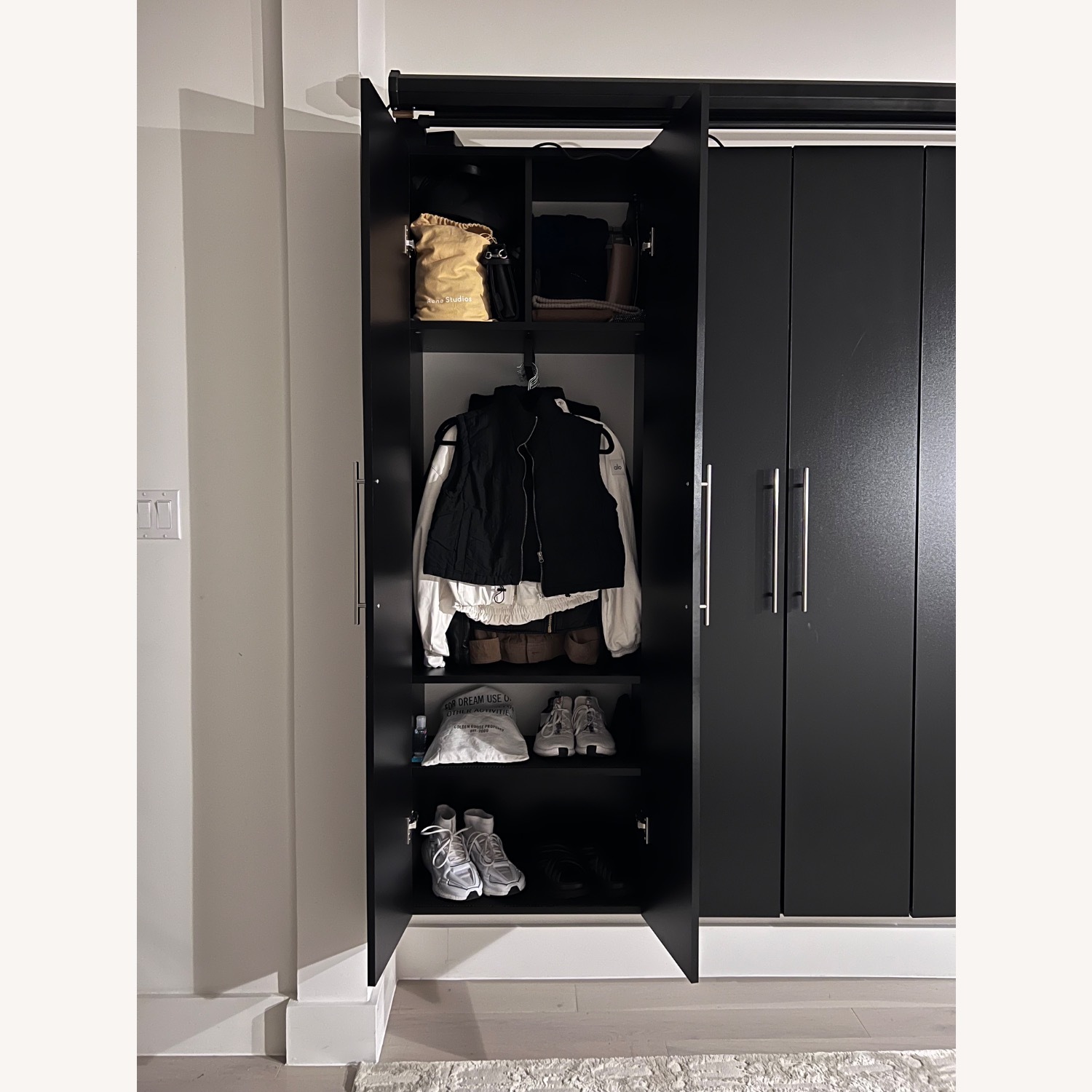 Wayfair Wall Unit - image-4