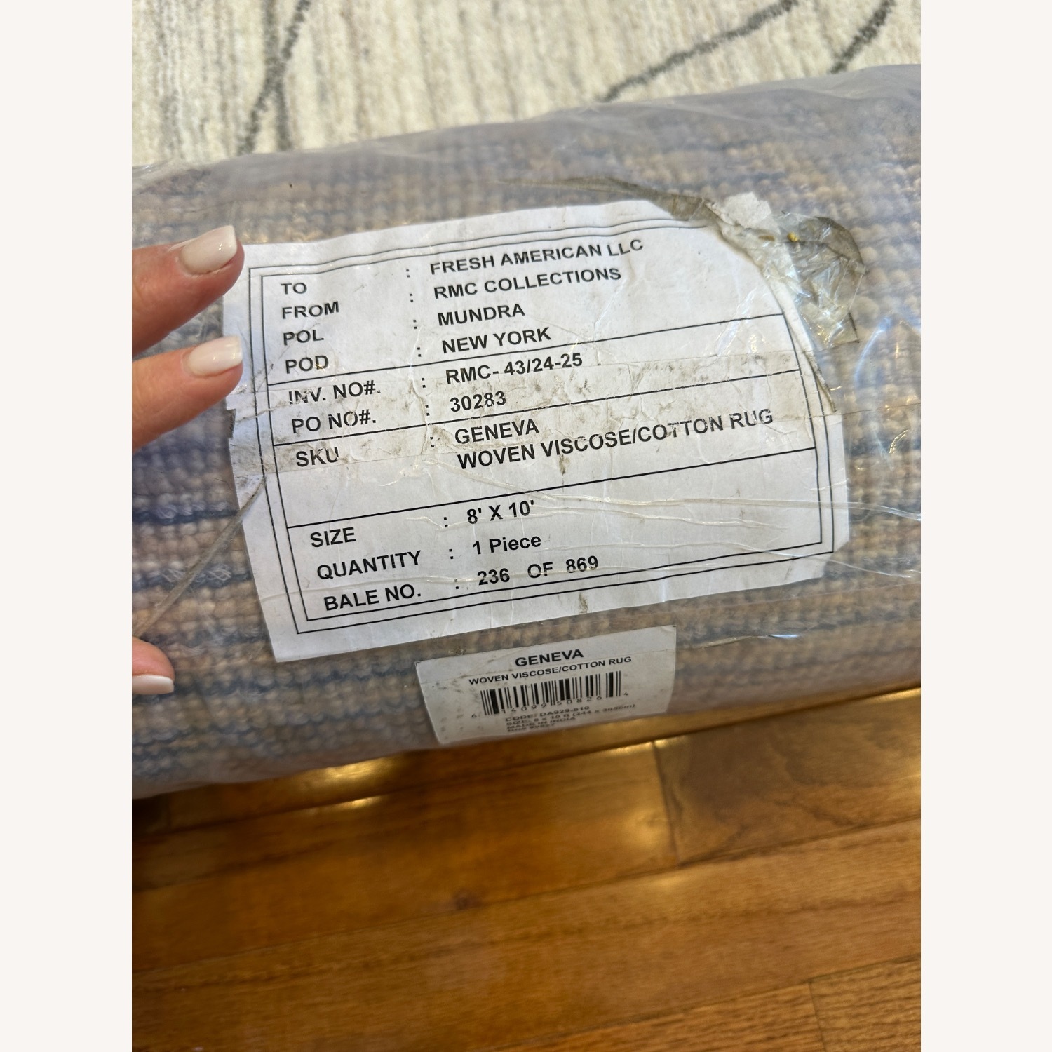 Brand New Dash & Albert Area Rug - image-4