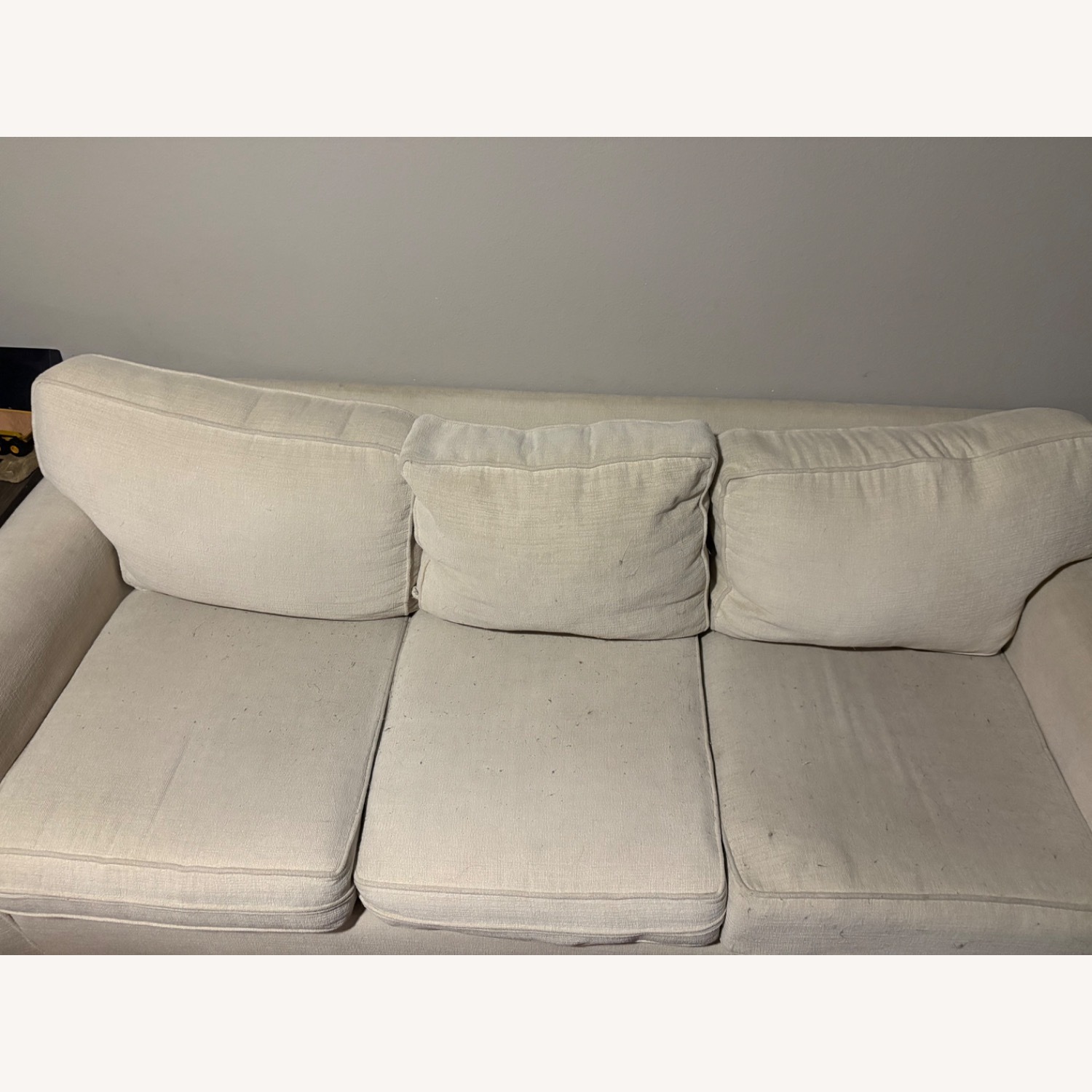 Living Spaces Sofa - image-4