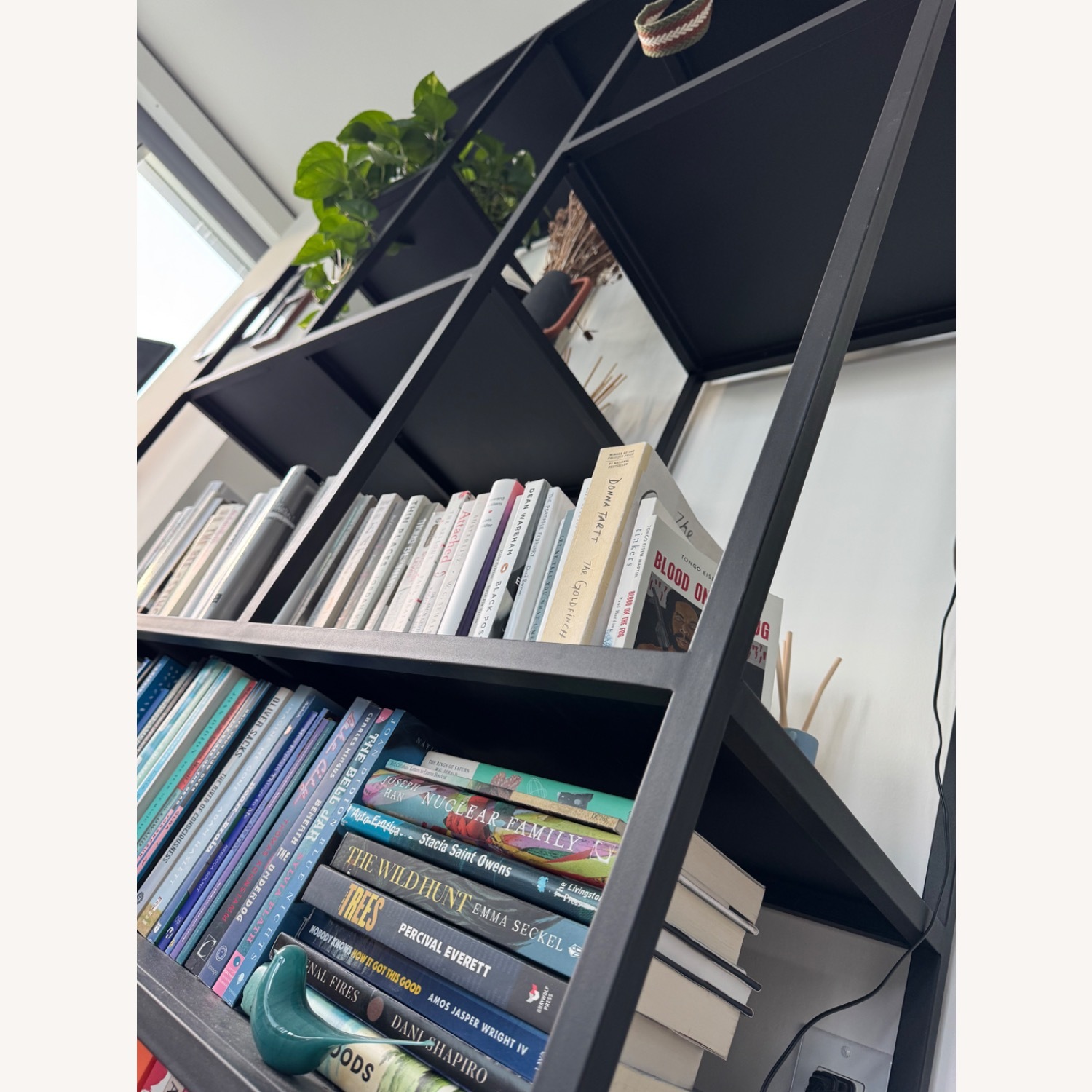 Dania Heroy 48” Bookcase - image-3