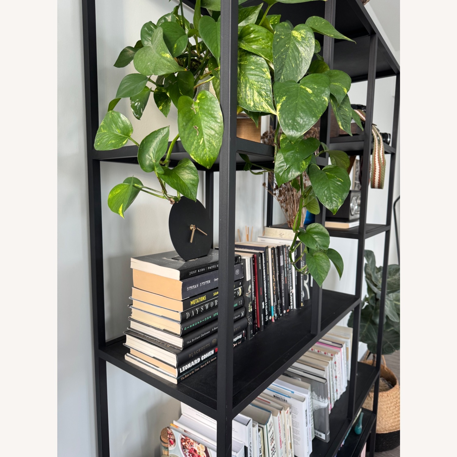 Dania Heroy 48” Bookcase - image-2