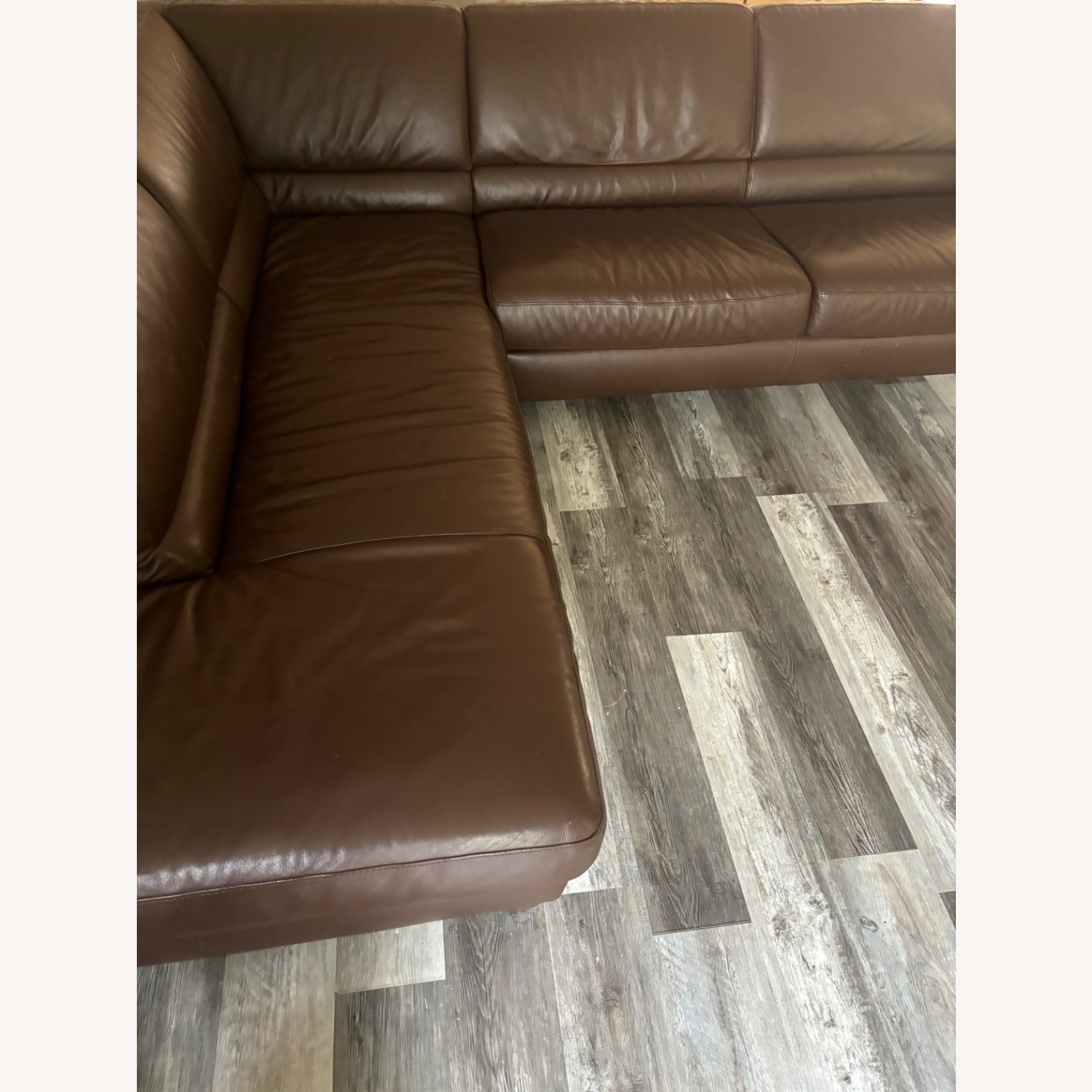 Chocolate Dream Sofa Sleeper - image-3