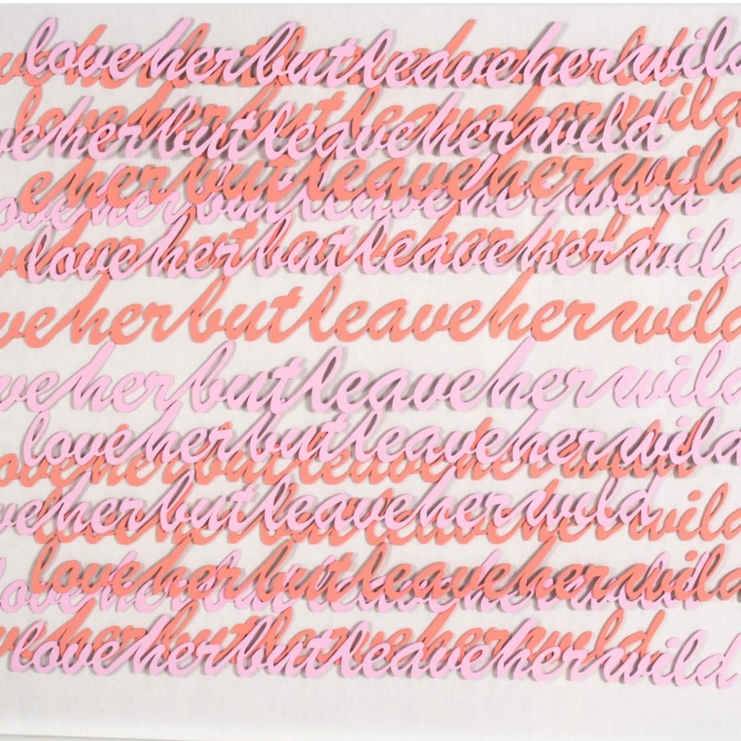 Acrylic Shadow Box - image-2