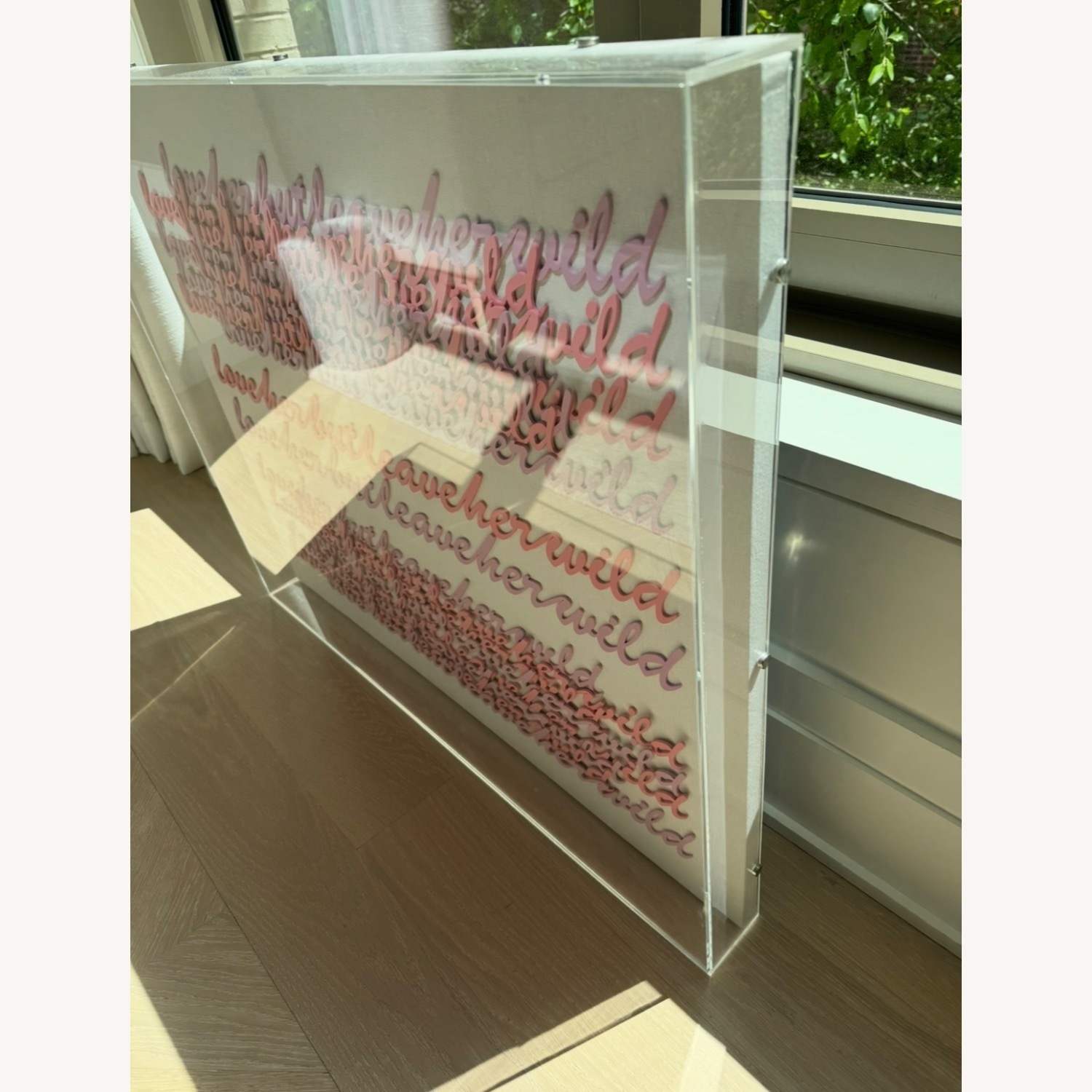 Acrylic Shadow Box - image-6
