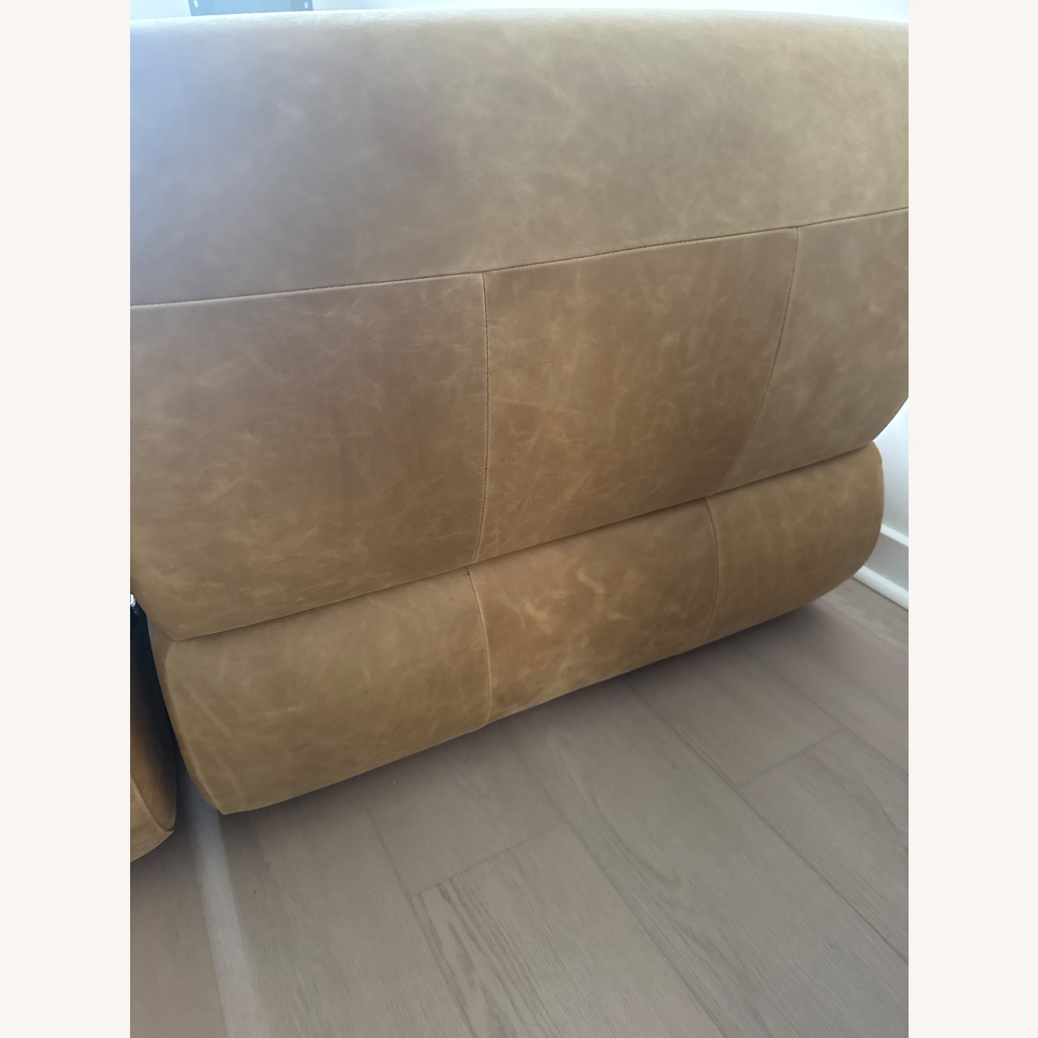 CB2 Hada Armless Beige Leather Lounge Chair - image-7