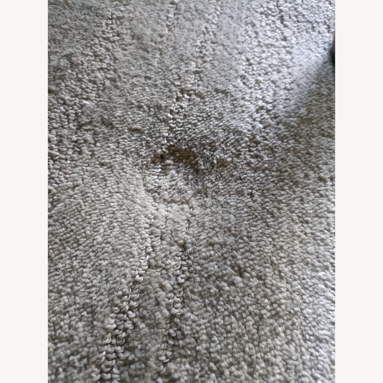 Walmart Fabric Rug - image-3