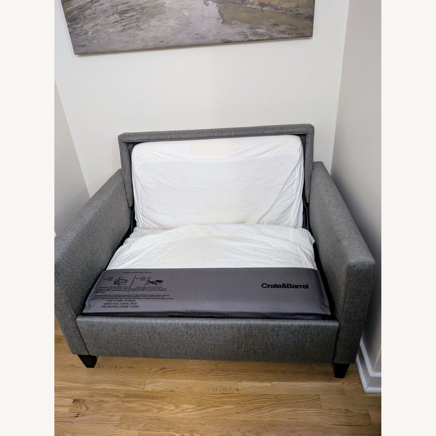  Crate & Barrel Bartlett Twin Sleeper Sofa  - image-5